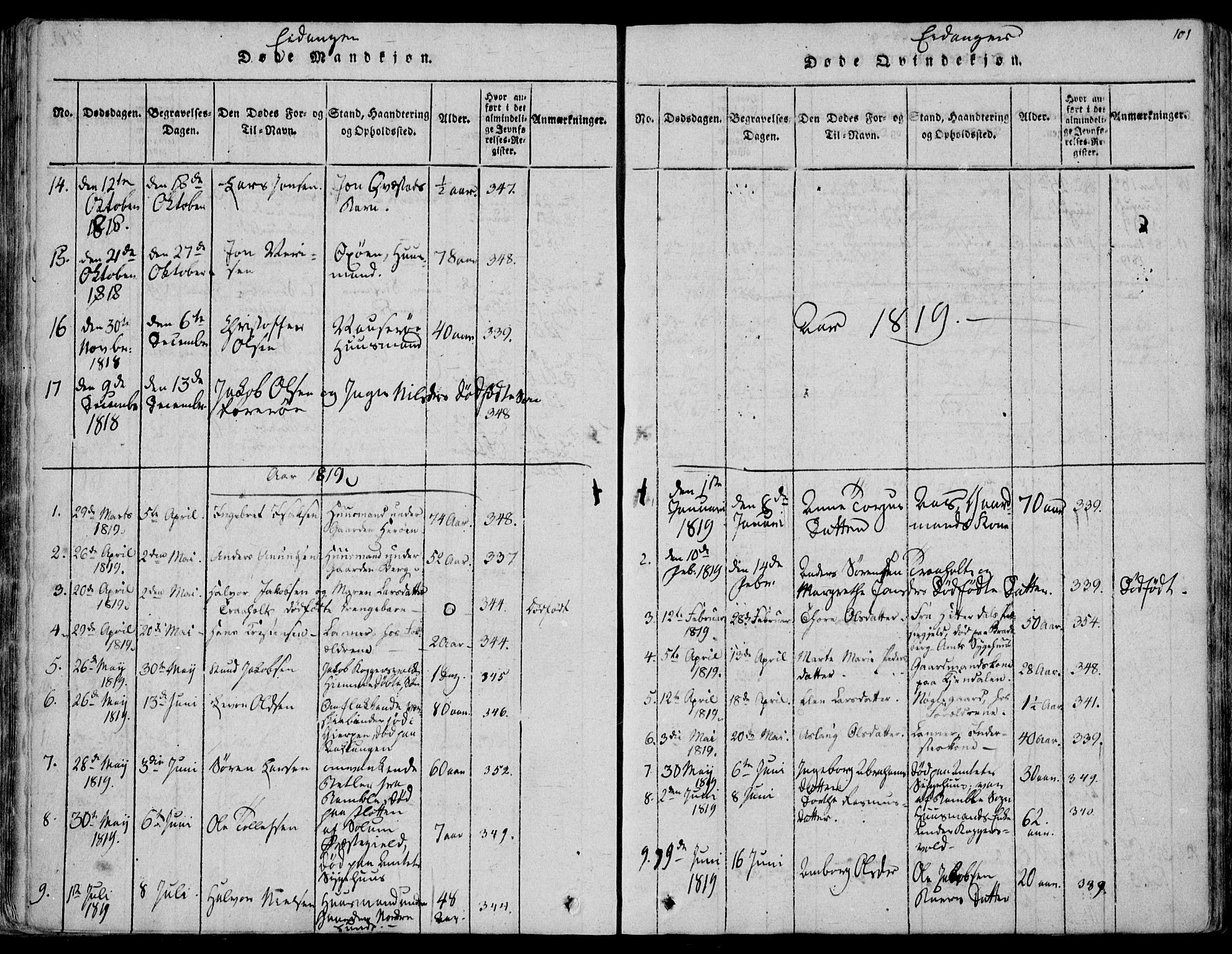 Eidanger kirkebøker, AV/SAKO-A-261/F/Fa/L0007: Parish register (official) no. 7, 1814-1831, p. 101