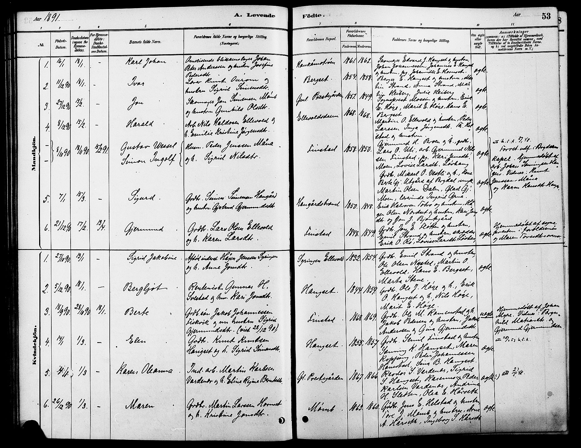 Rendalen prestekontor, SAH/PREST-054/H/Ha/Hab/L0003: Parish register (copy) no. 3, 1879-1904, p. 53
