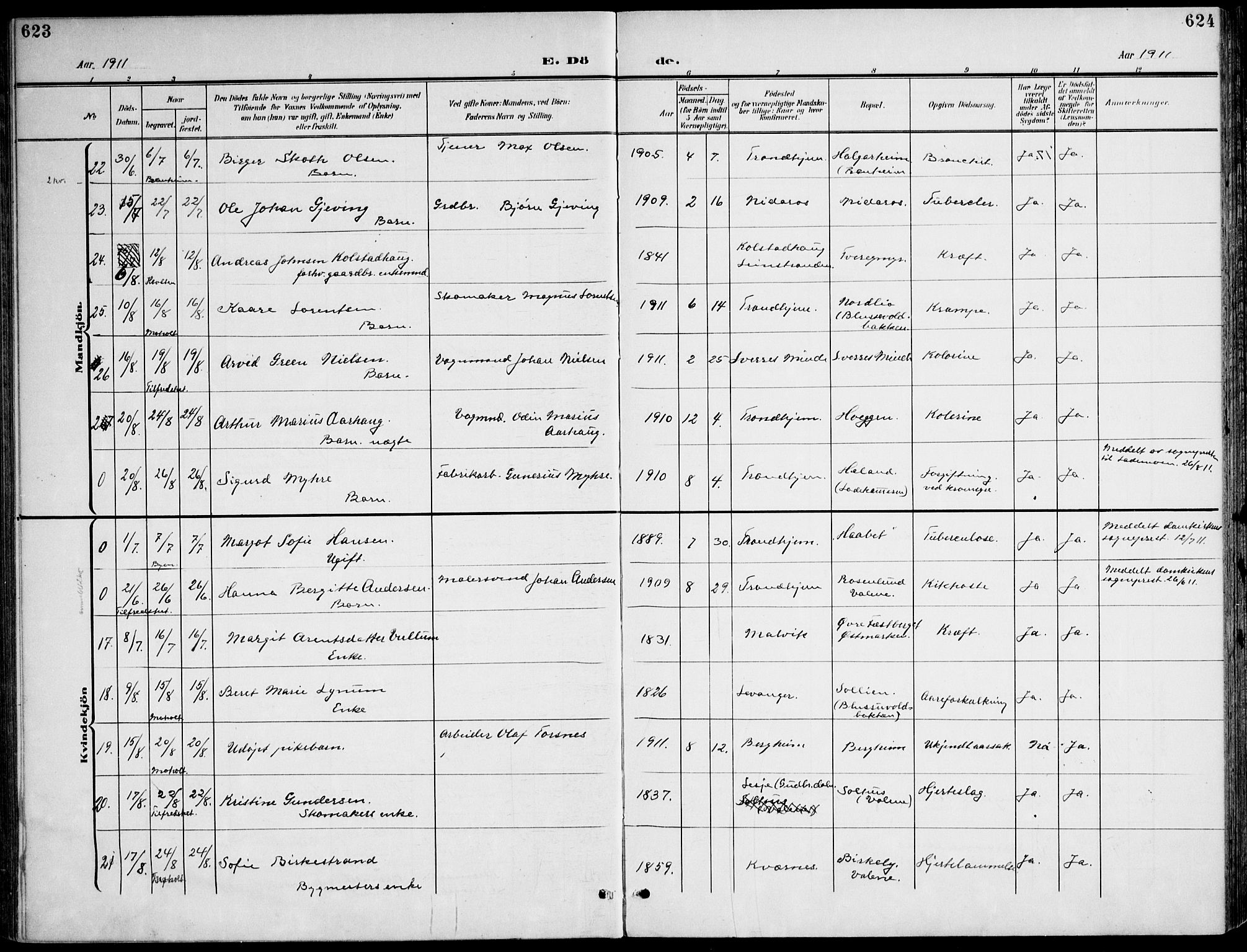 Ministerialprotokoller, klokkerbøker og fødselsregistre - Sør-Trøndelag, AV/SAT-A-1456/607/L0320: Parish register (official) no. 607A04, 1907-1915, p. 623-624