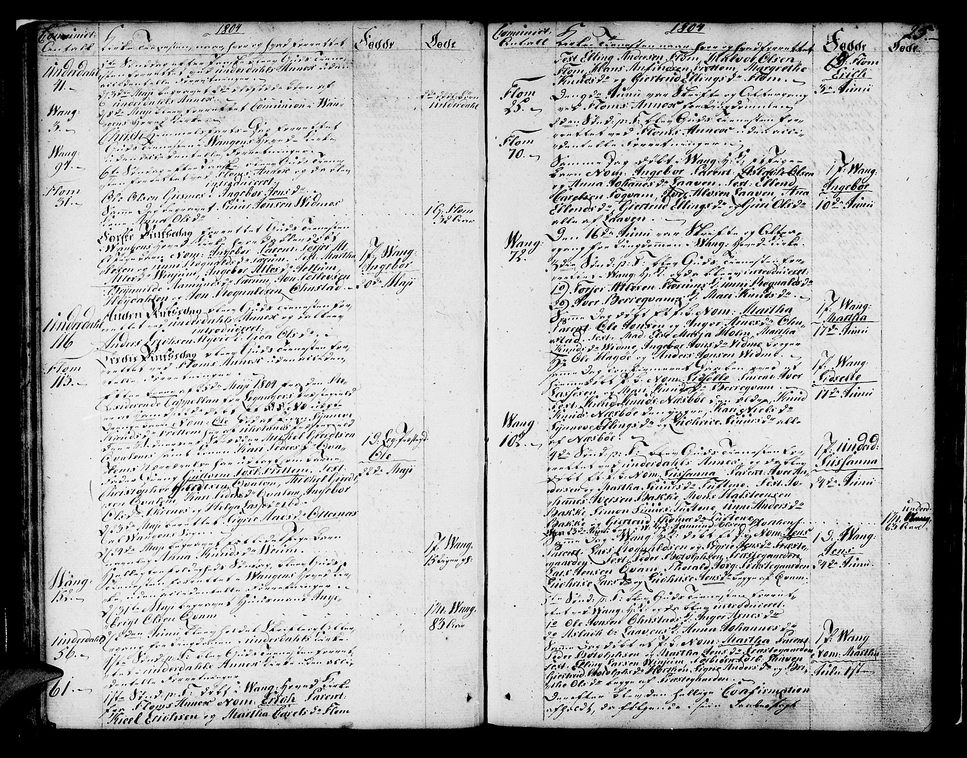 Aurland sokneprestembete, SAB/A-99937/H/Ha/Haa/L0005: Parish register (official) no. A 5, 1801-1821, p. 25