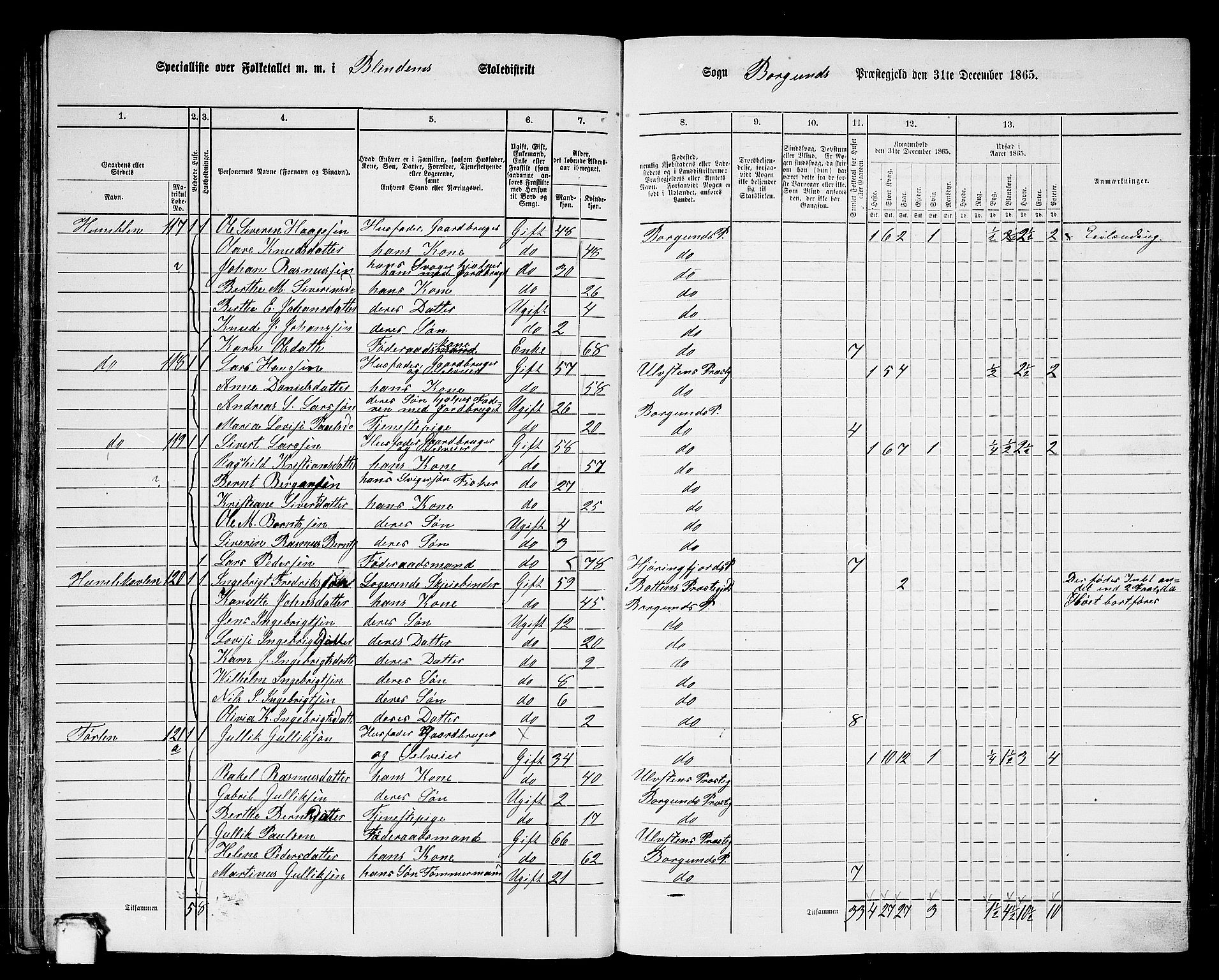 RA, 1865 census for Borgund, 1865, p. 40