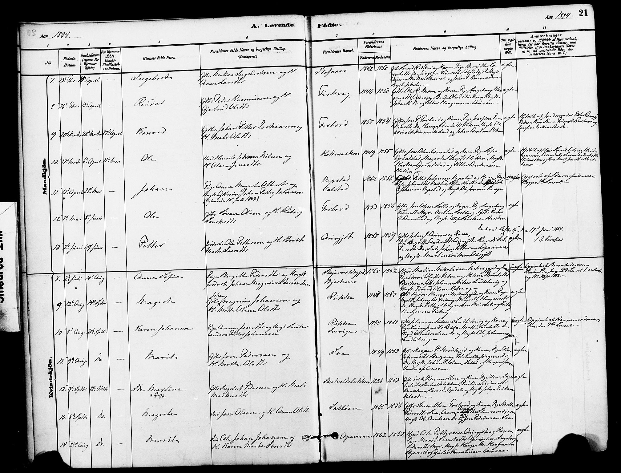 Ministerialprotokoller, klokkerbøker og fødselsregistre - Nord-Trøndelag, AV/SAT-A-1458/712/L0100: Parish register (official) no. 712A01, 1880-1900, p. 21