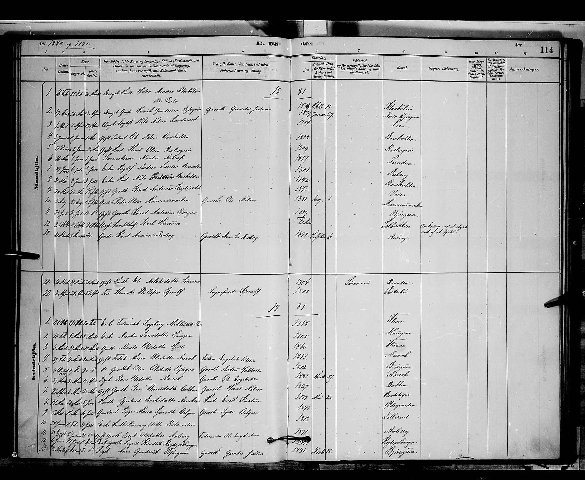 Nord-Aurdal prestekontor, SAH/PREST-132/H/Ha/Hab/L0006: Parish register (copy) no. 6, 1878-1892, p. 114