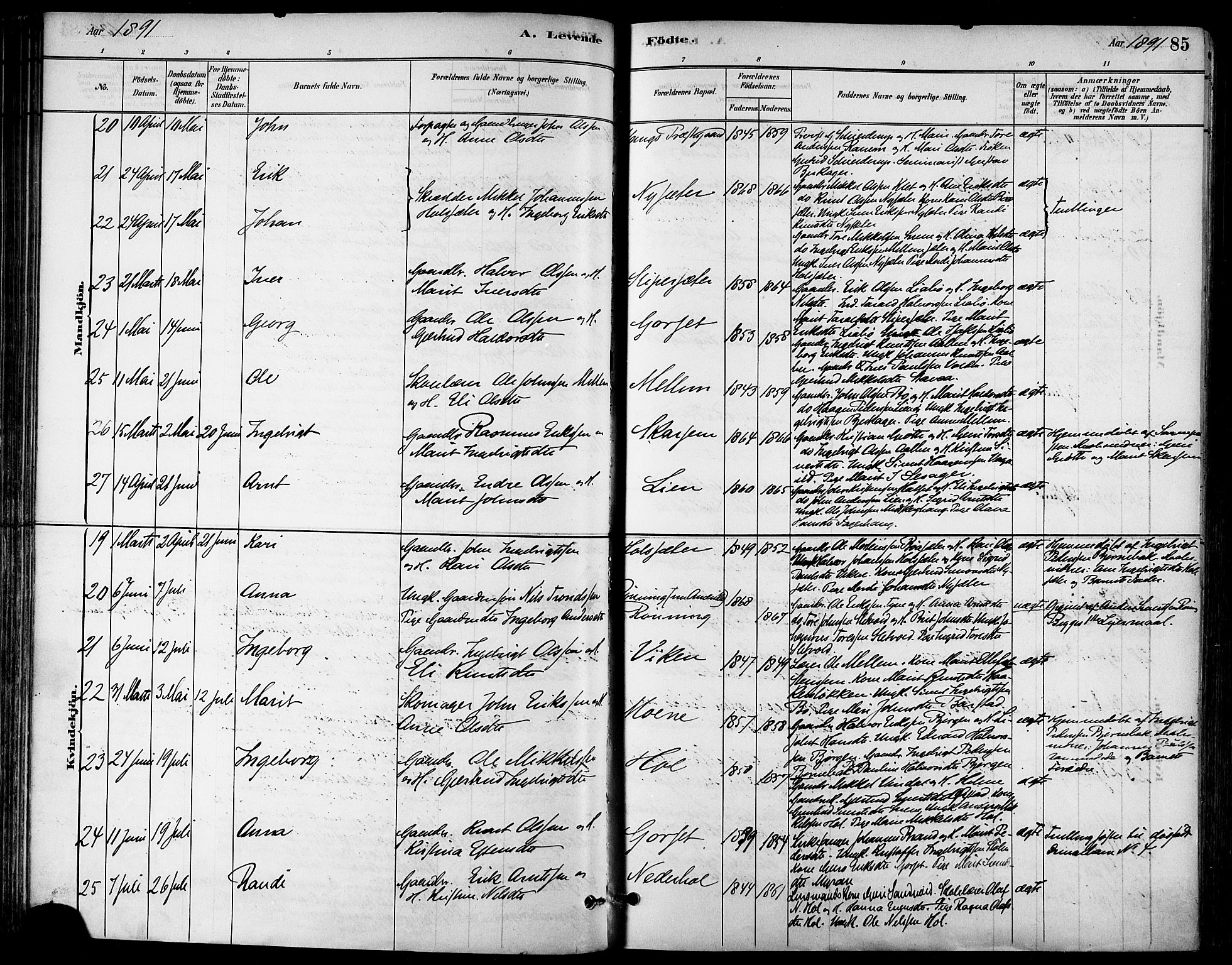 Ministerialprotokoller, klokkerbøker og fødselsregistre - Sør-Trøndelag, AV/SAT-A-1456/678/L0901: Parish register (official) no. 678A10, 1881-1894, p. 85