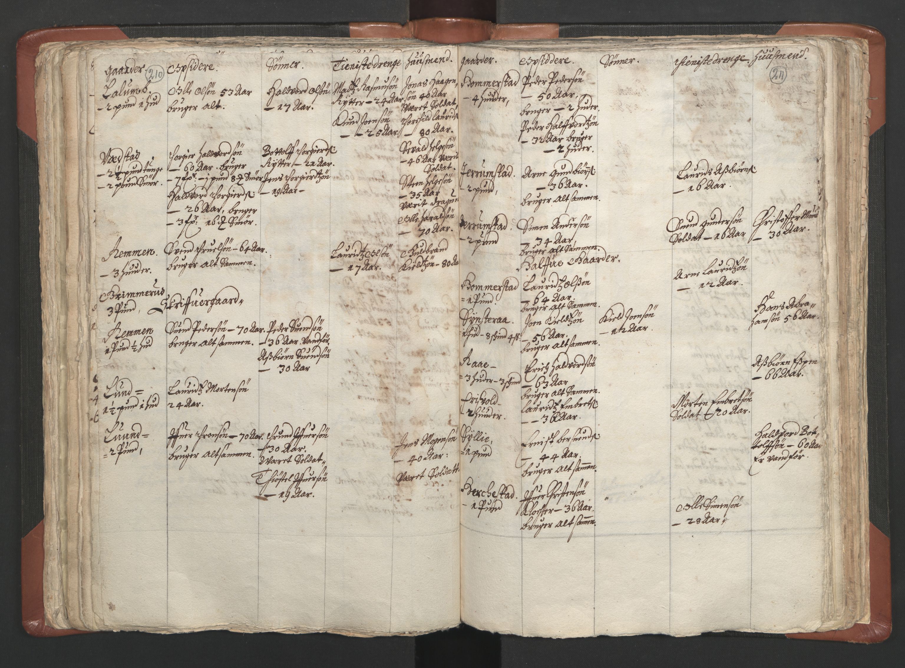 RA, Vicar's Census 1664-1666, no. 5: Hedmark deanery, 1664-1666, p. 210-211