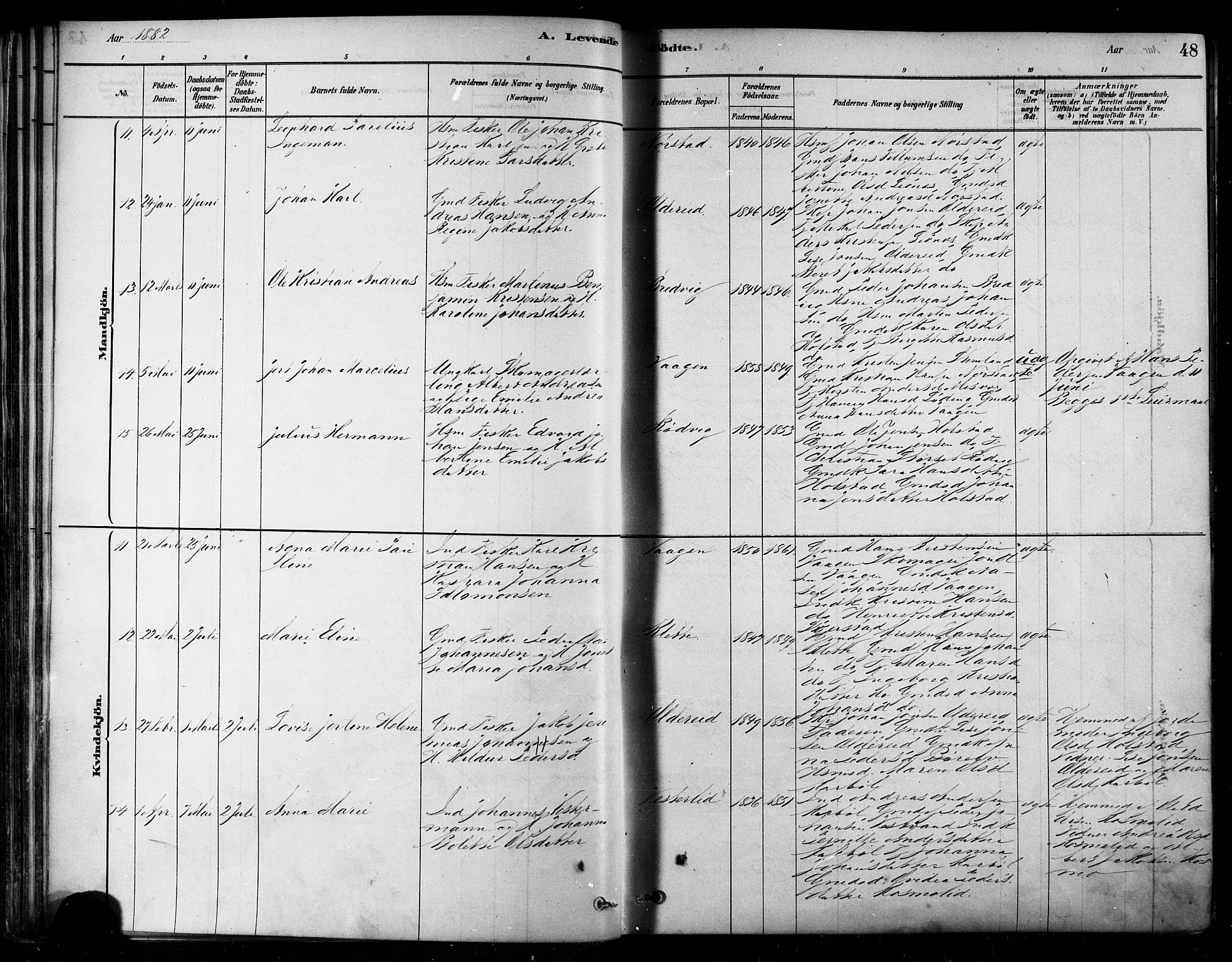 Ministerialprotokoller, klokkerbøker og fødselsregistre - Nordland, AV/SAT-A-1459/852/L0740: Parish register (official) no. 852A10, 1878-1894, p. 48