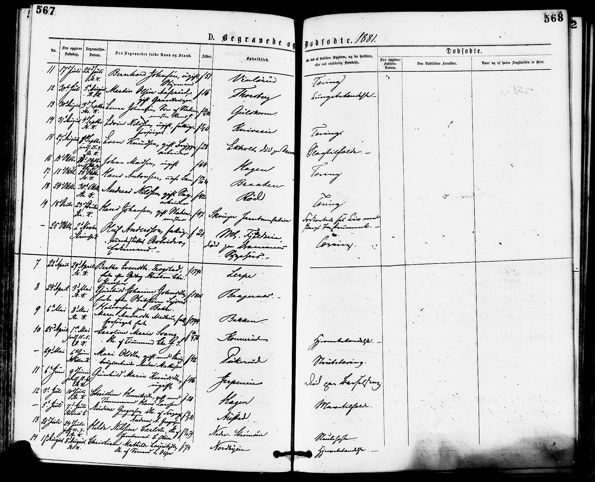 Skoger kirkebøker, AV/SAKO-A-59/F/Fa/L0005: Parish register (official) no. I 5, 1873-1884, p. 567-568