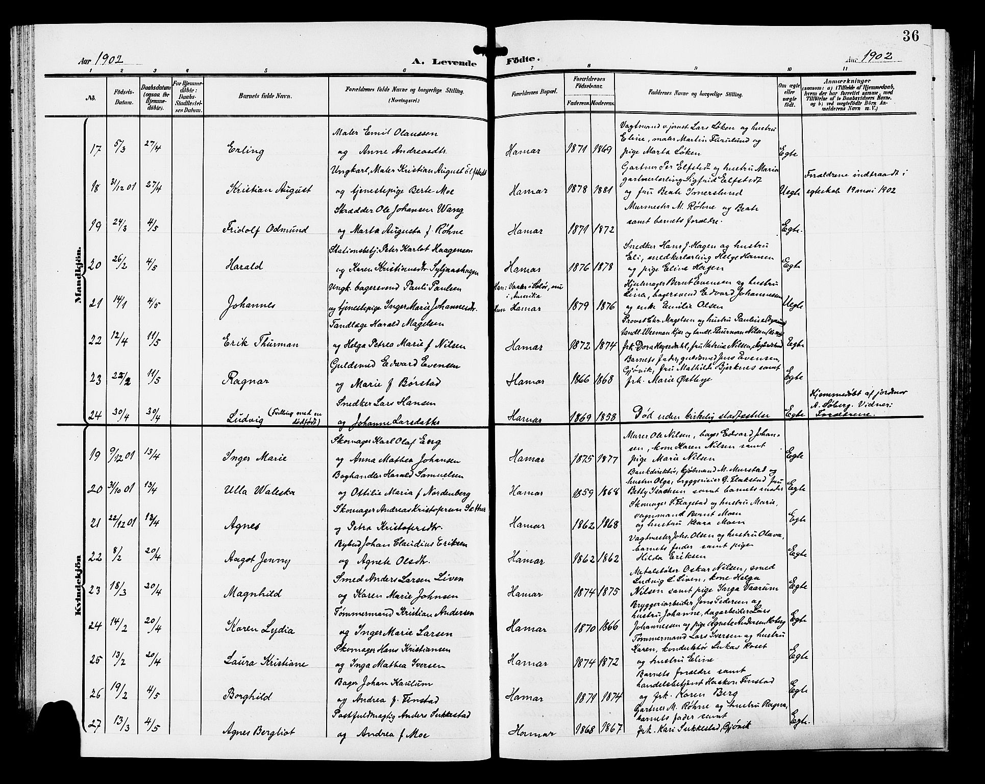 Hamar prestekontor, AV/SAH-DOMPH-002/H/Ha/Hab/L0001: Parish register (copy) no. 1, 1899-1914, p. 36