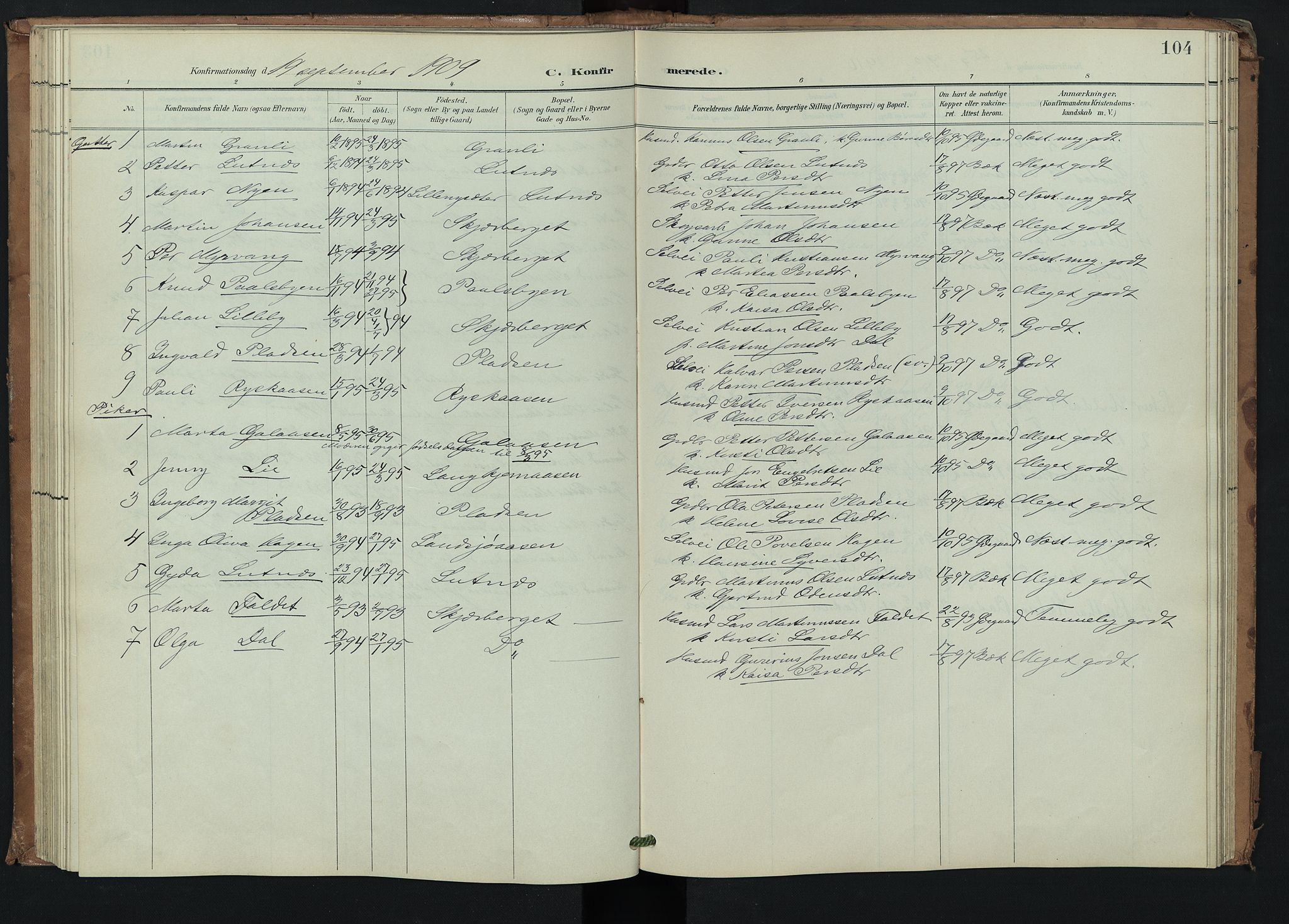 Trysil prestekontor, SAH/PREST-046/H/Ha/Hab/L0008: Parish register (copy) no. 8, 1900-1950, p. 104