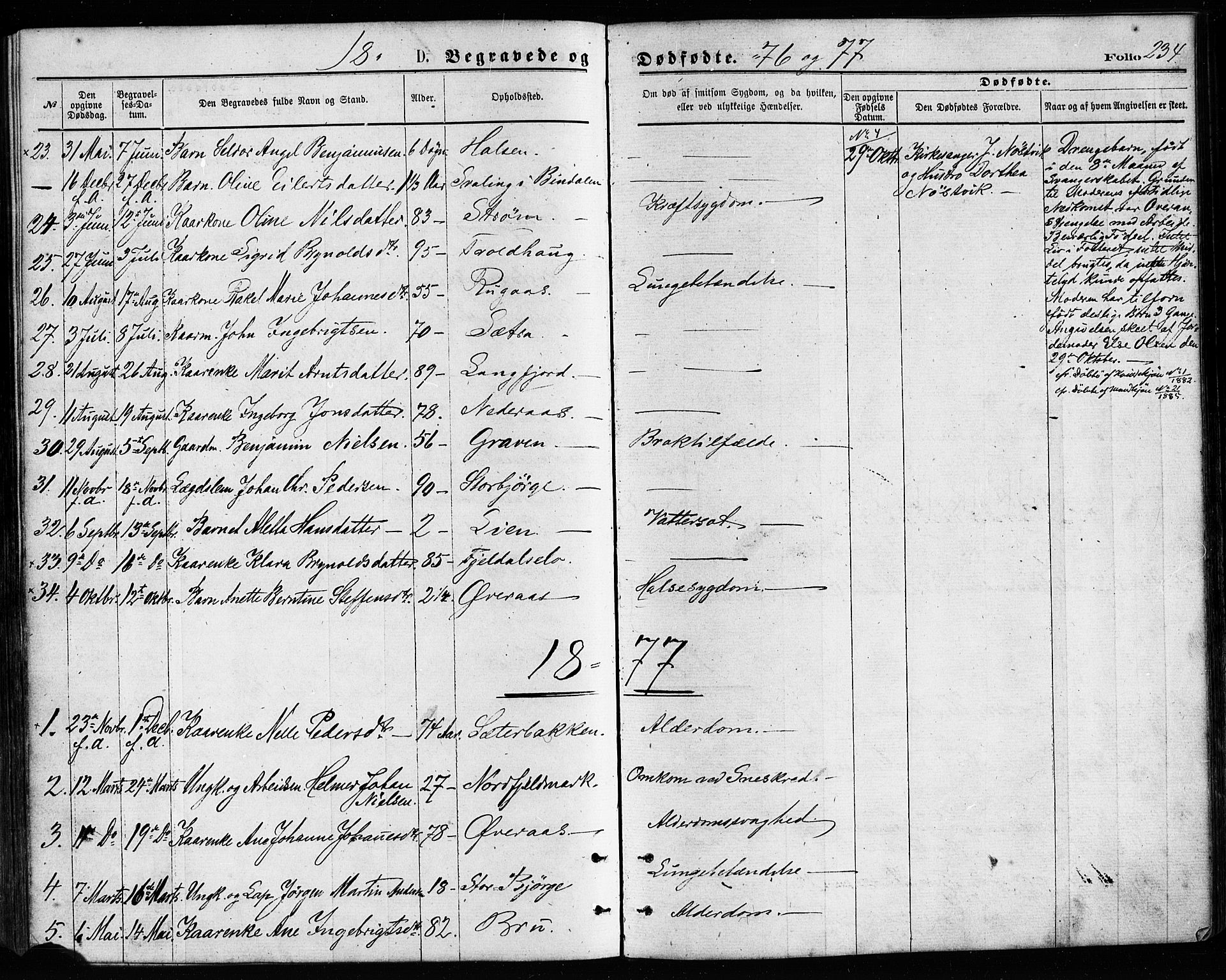 Ministerialprotokoller, klokkerbøker og fødselsregistre - Nordland, AV/SAT-A-1459/814/L0225: Parish register (official) no. 814A06, 1875-1885, p. 234