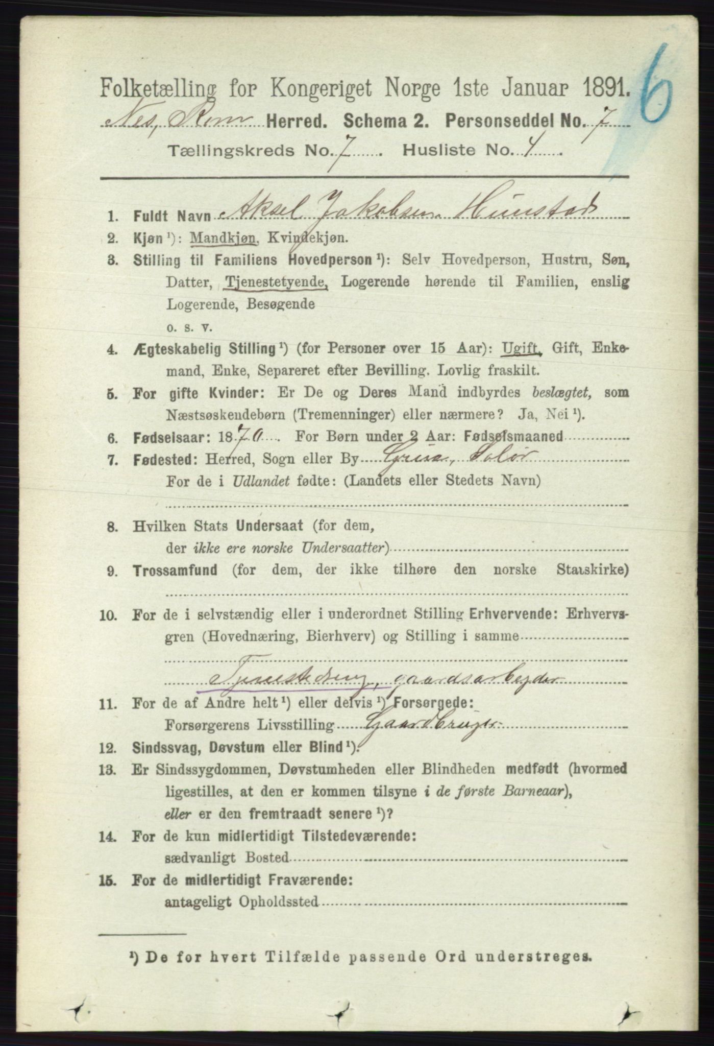 RA, 1891 census for 0236 Nes, 1891, p. 4048