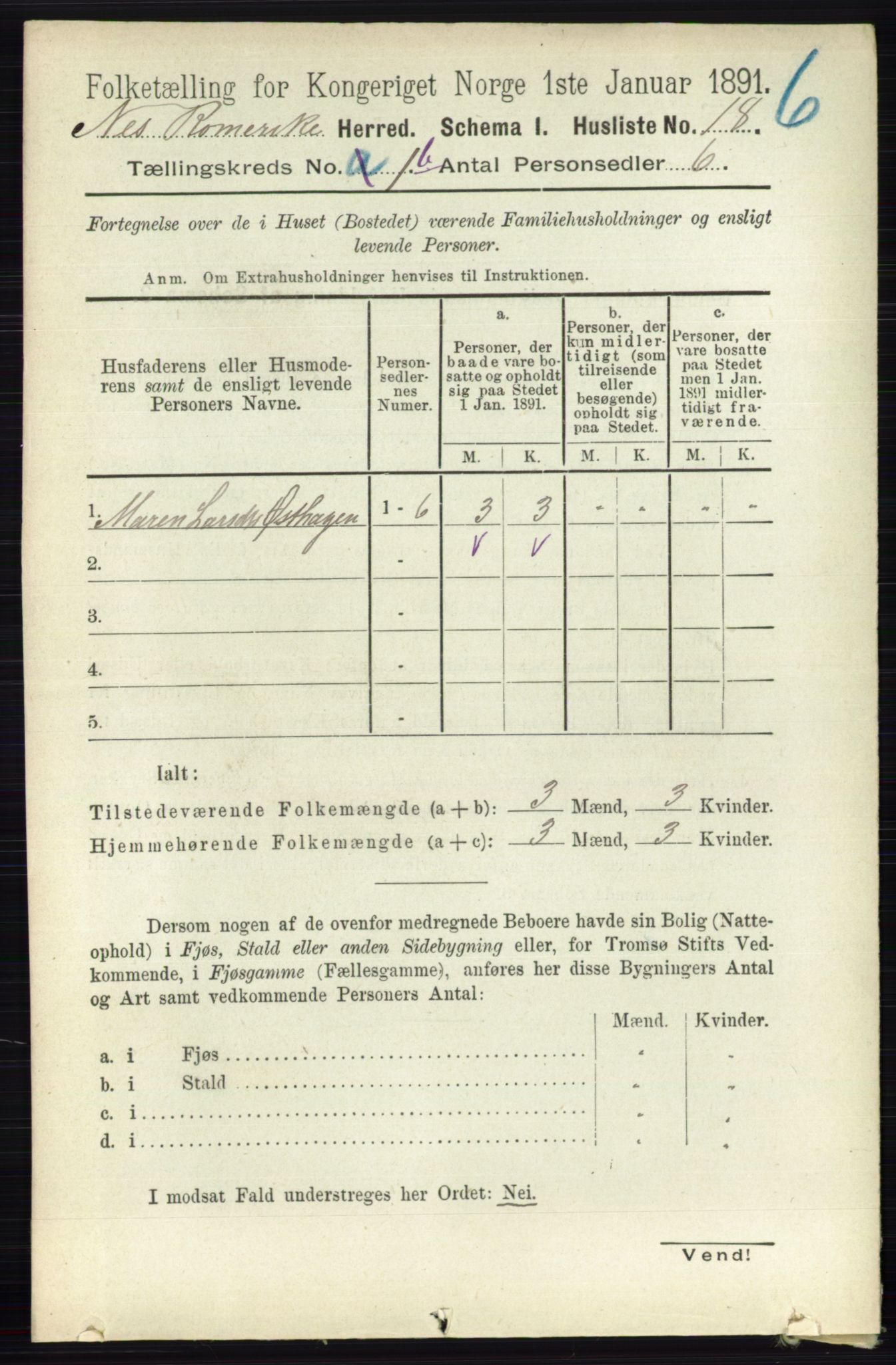 RA, 1891 census for 0236 Nes, 1891, p. 707