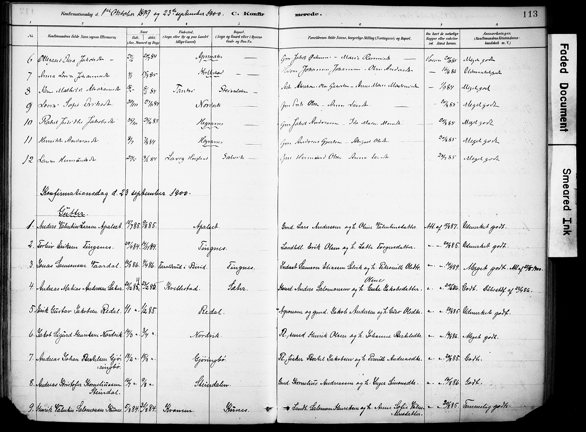 Førde sokneprestembete, AV/SAB-A-79901/H/Haa/Haae/L0001: Parish register (official) no. E 1, 1881-1911, p. 113