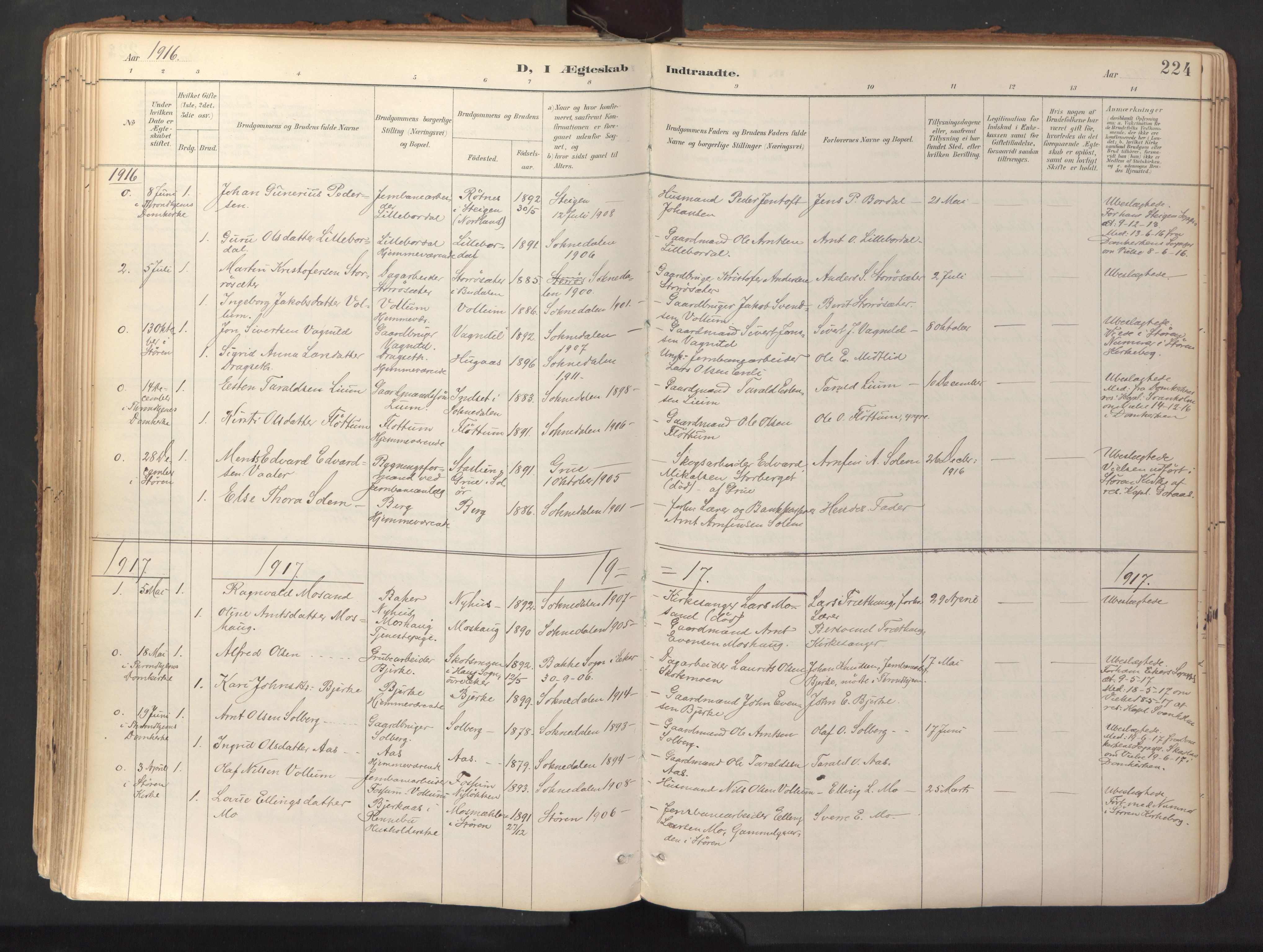 Ministerialprotokoller, klokkerbøker og fødselsregistre - Sør-Trøndelag, SAT/A-1456/689/L1041: Parish register (official) no. 689A06, 1891-1923, p. 224