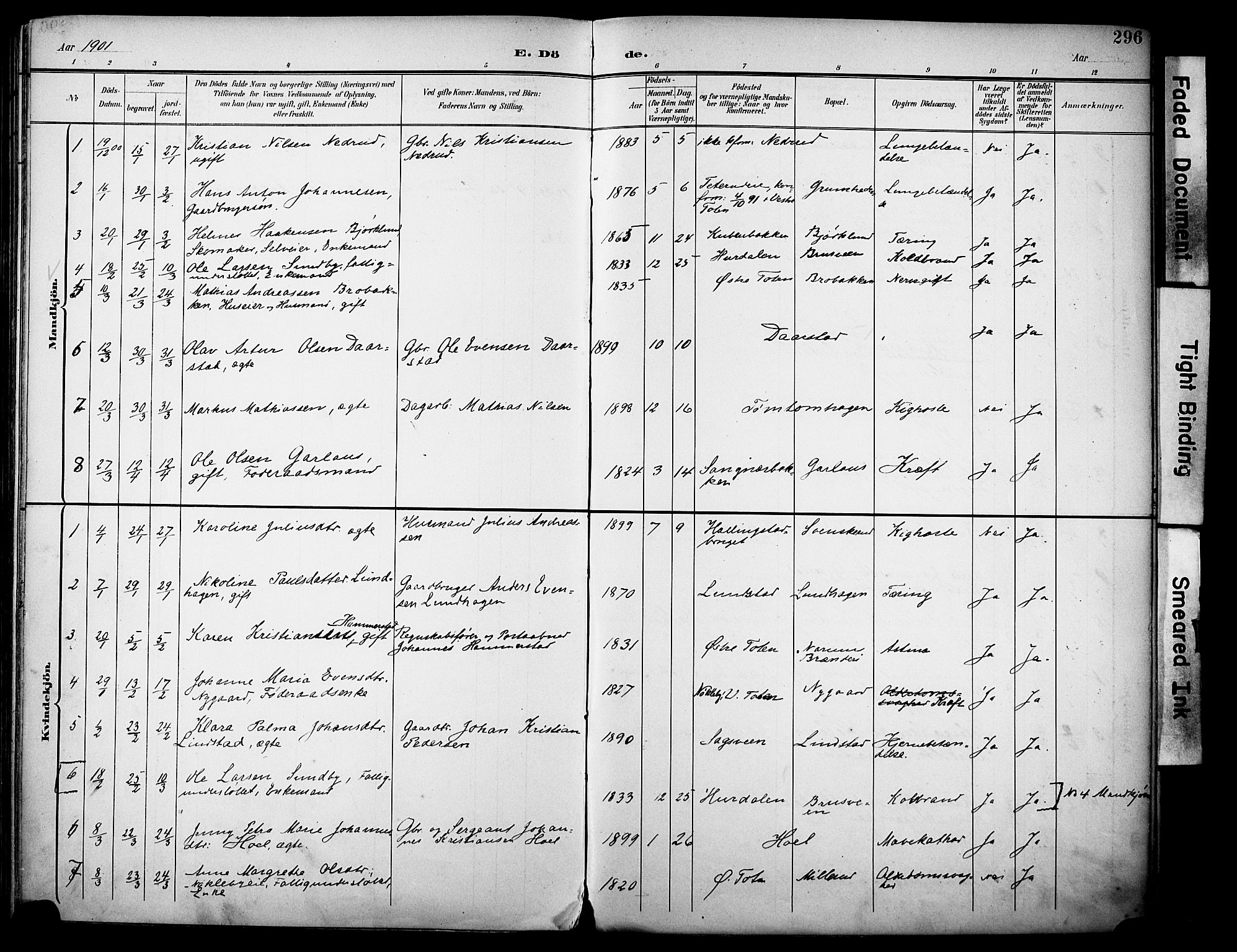 Vestre Toten prestekontor, SAH/PREST-108/H/Ha/Haa/L0013: Parish register (official) no. 13, 1895-1911, p. 296