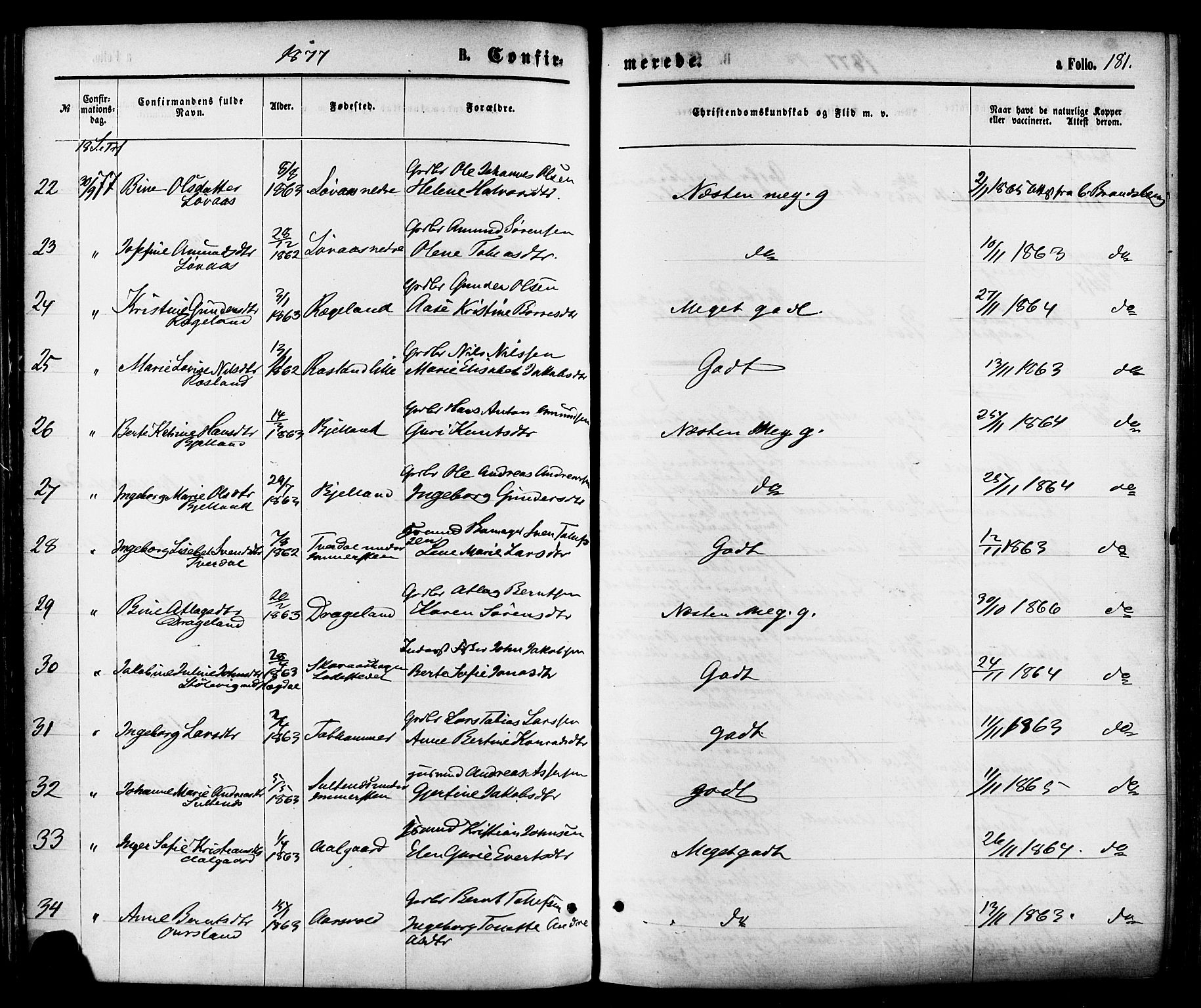 Sokndal sokneprestkontor, AV/SAST-A-101808: Parish register (official) no. A 10, 1874-1886, p. 181