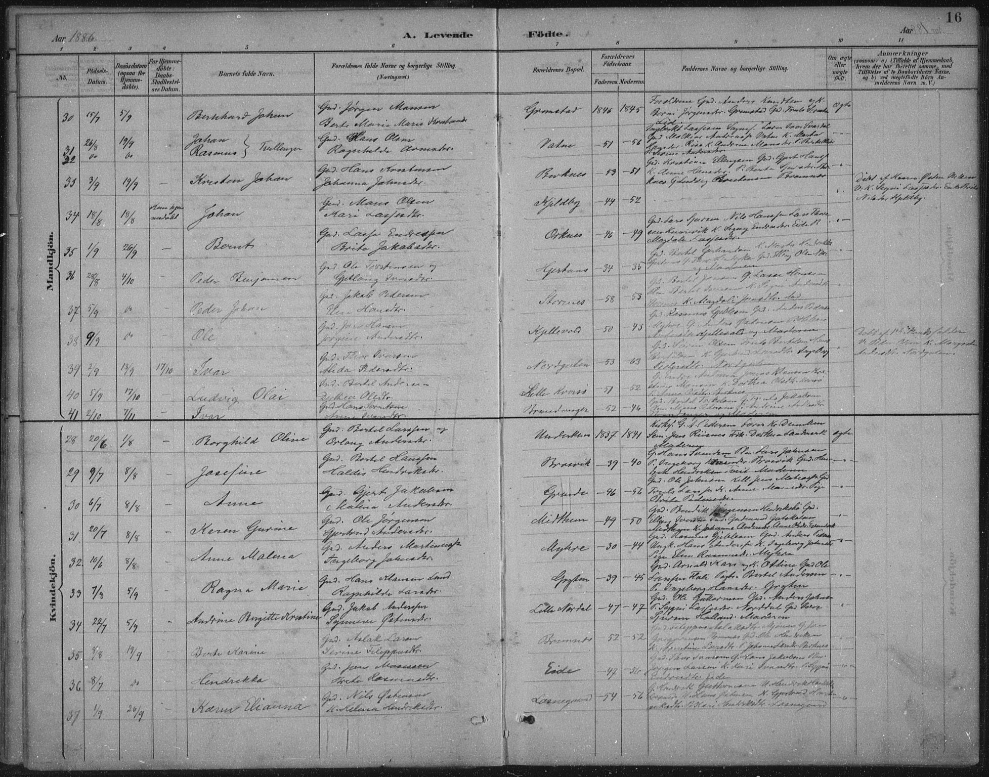 Gulen sokneprestembete, AV/SAB-A-80201/H/Hab/Habb/L0003: Parish register (copy) no. B 3, 1884-1907, p. 16