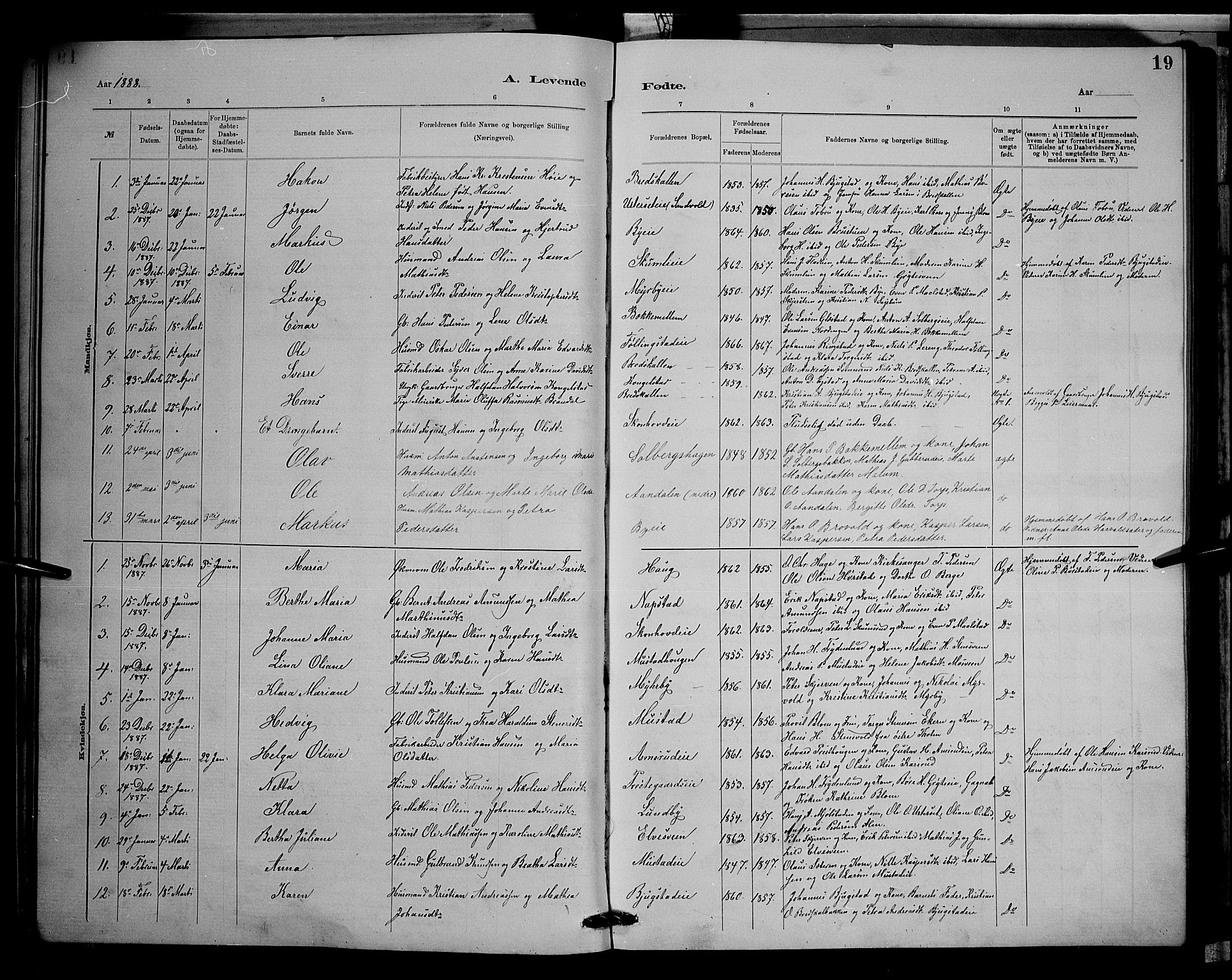 Vardal prestekontor, AV/SAH-PREST-100/H/Ha/Hab/L0008: Parish register (copy) no. 8, 1881-1898, p. 19