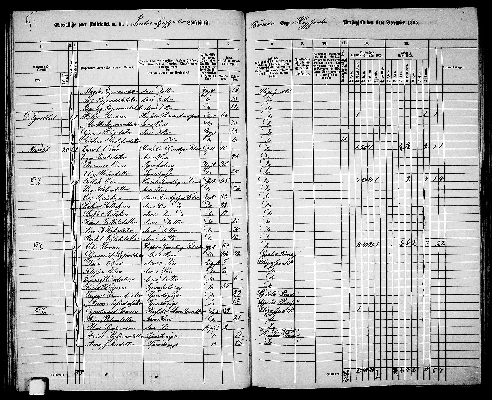 RA, 1865 census for Høgsfjord, 1865, p. 30