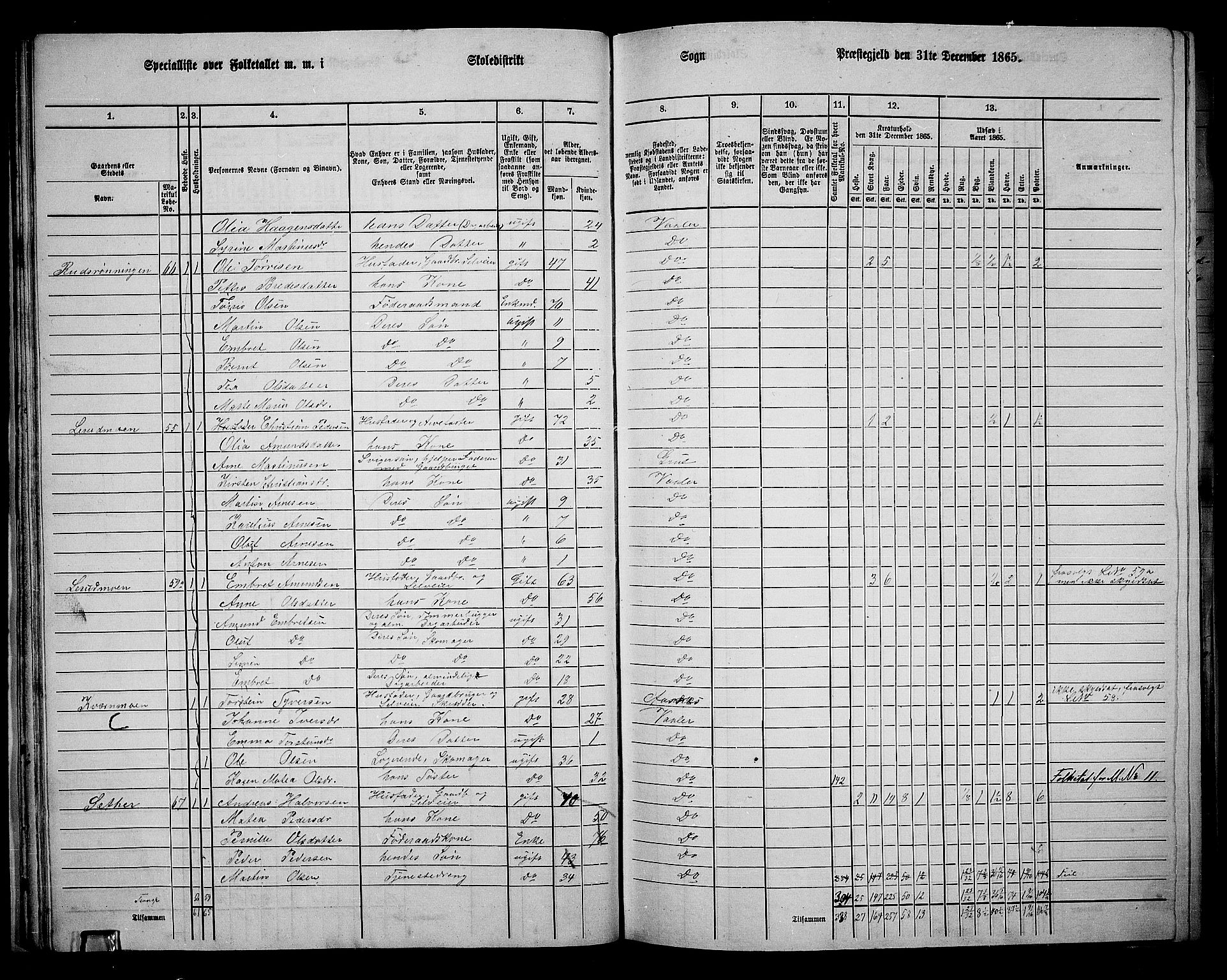 RA, 1865 census for Våler, 1865, p. 36