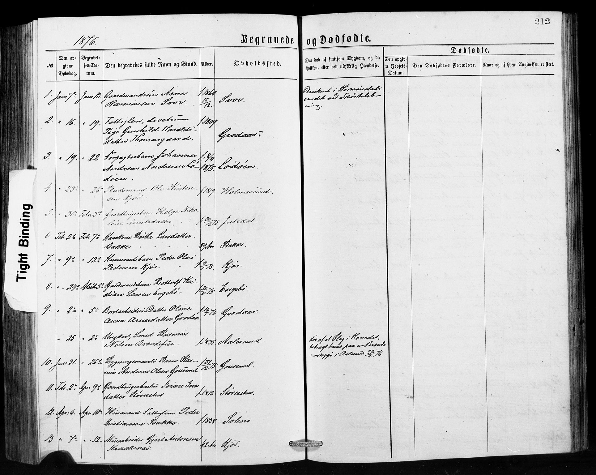 Hornindal sokneprestembete, AV/SAB-A-82401/H/Hab: Parish register (copy) no. A 1, 1876-1894, p. 212