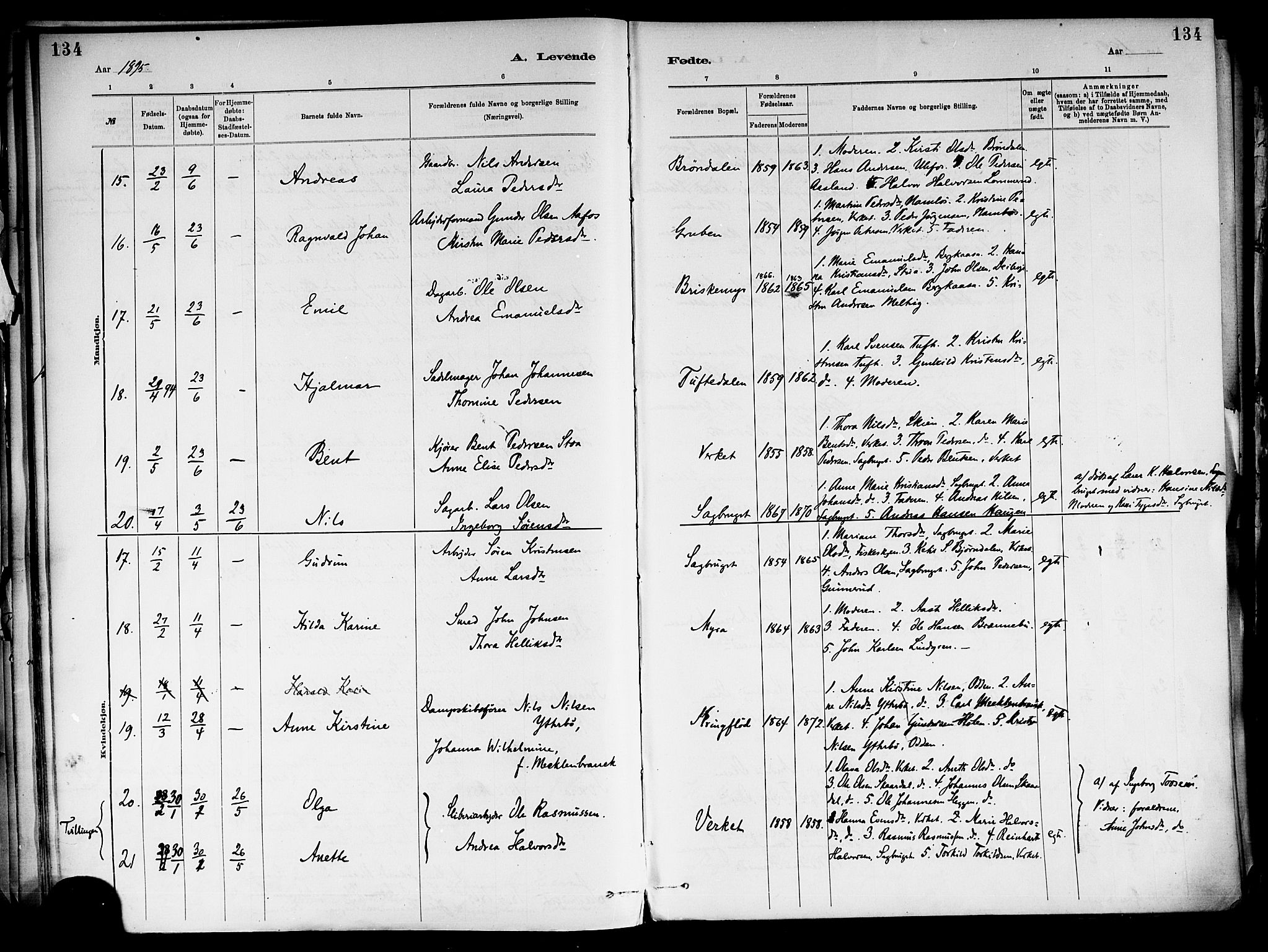 Holla kirkebøker, AV/SAKO-A-272/F/Fa/L0008: Parish register (official) no. 8, 1882-1897, p. 134