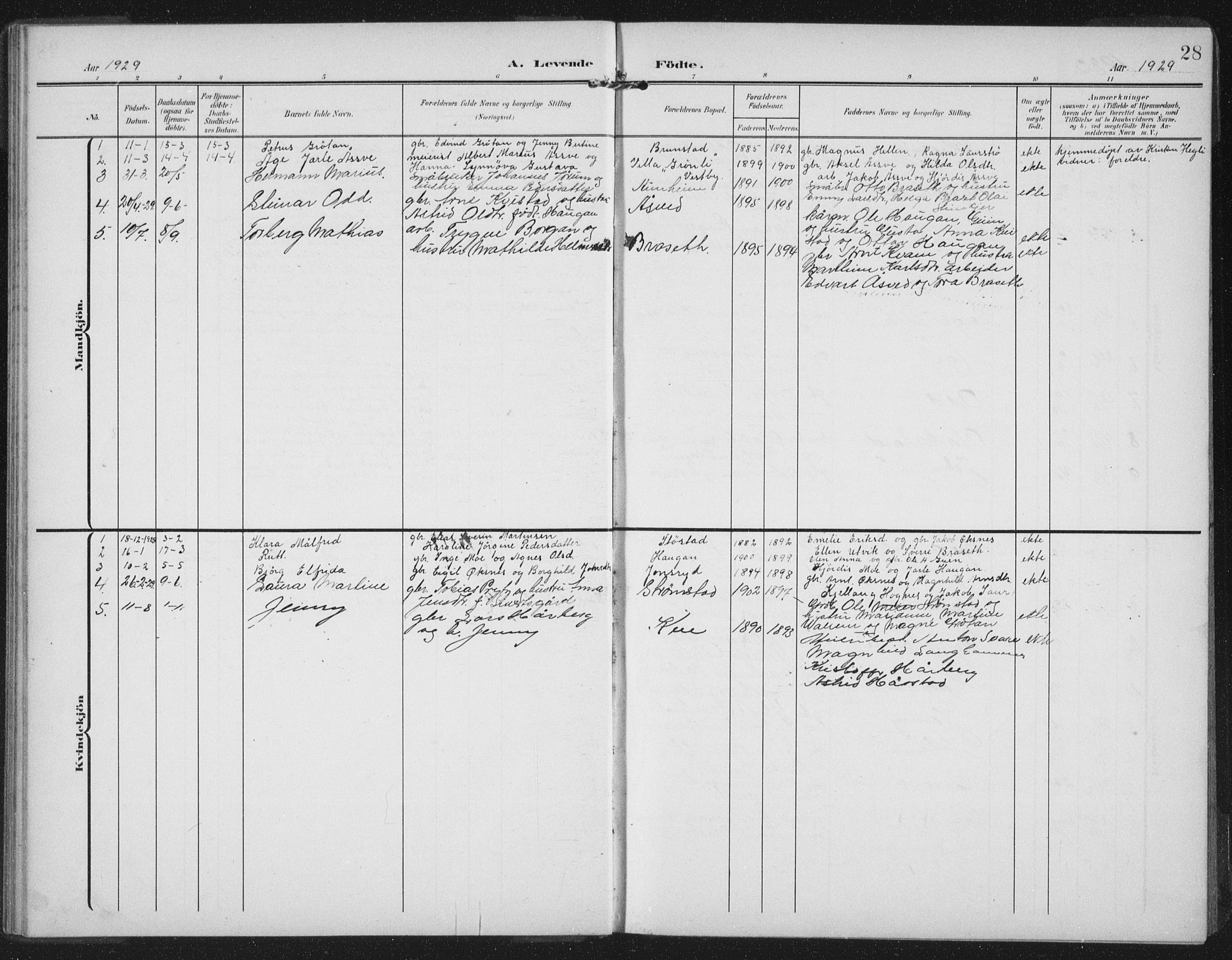 Ministerialprotokoller, klokkerbøker og fødselsregistre - Nord-Trøndelag, SAT/A-1458/747/L0460: Parish register (copy) no. 747C02, 1908-1939, p. 28