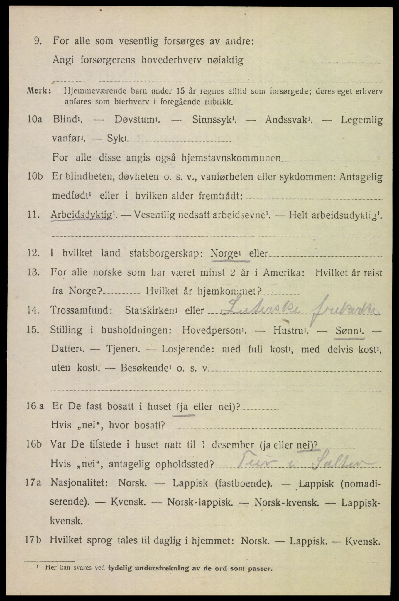 SAT, 1920 census for Bodin, 1920, p. 10887