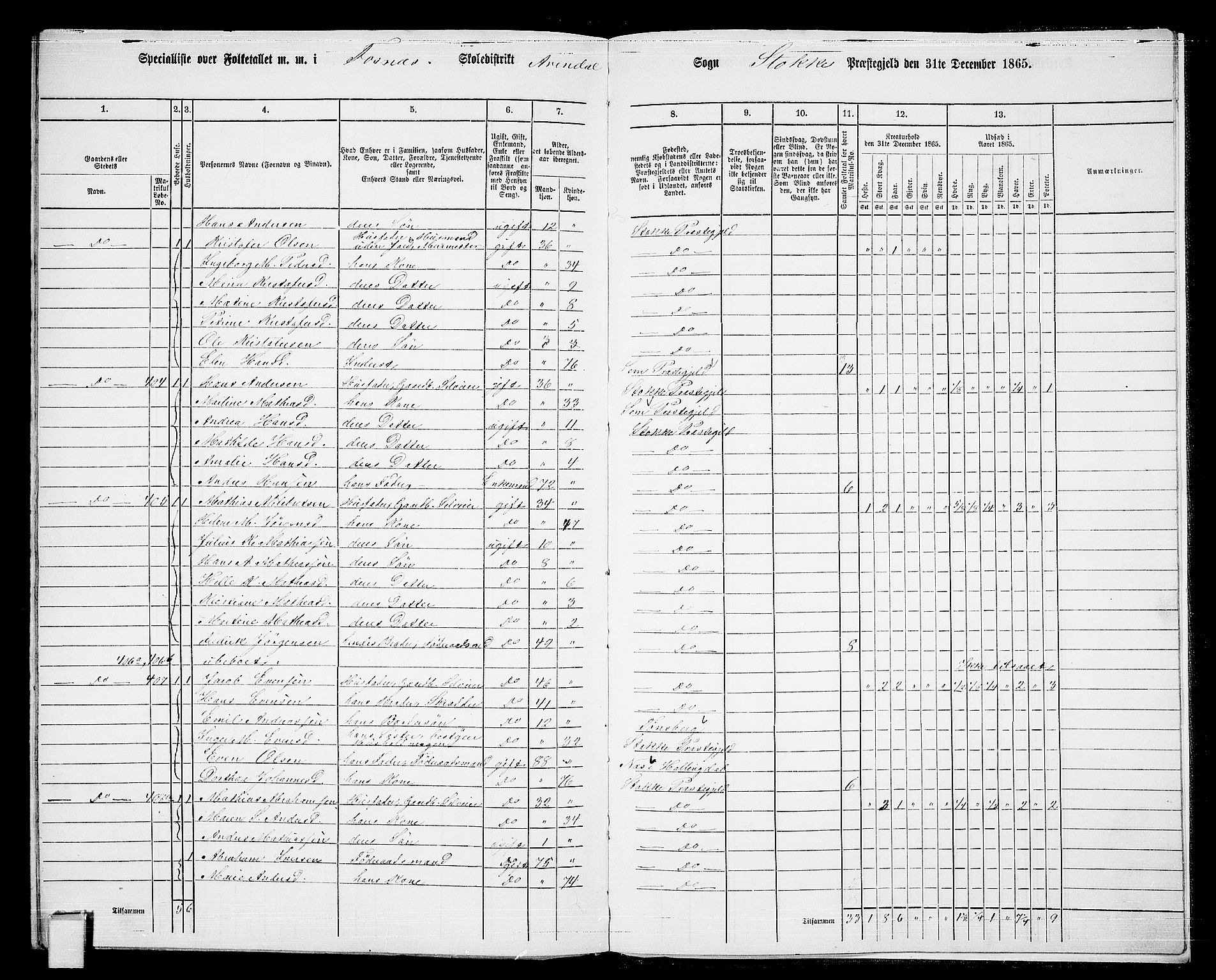 RA, 1865 census for Stokke, 1865, p. 197