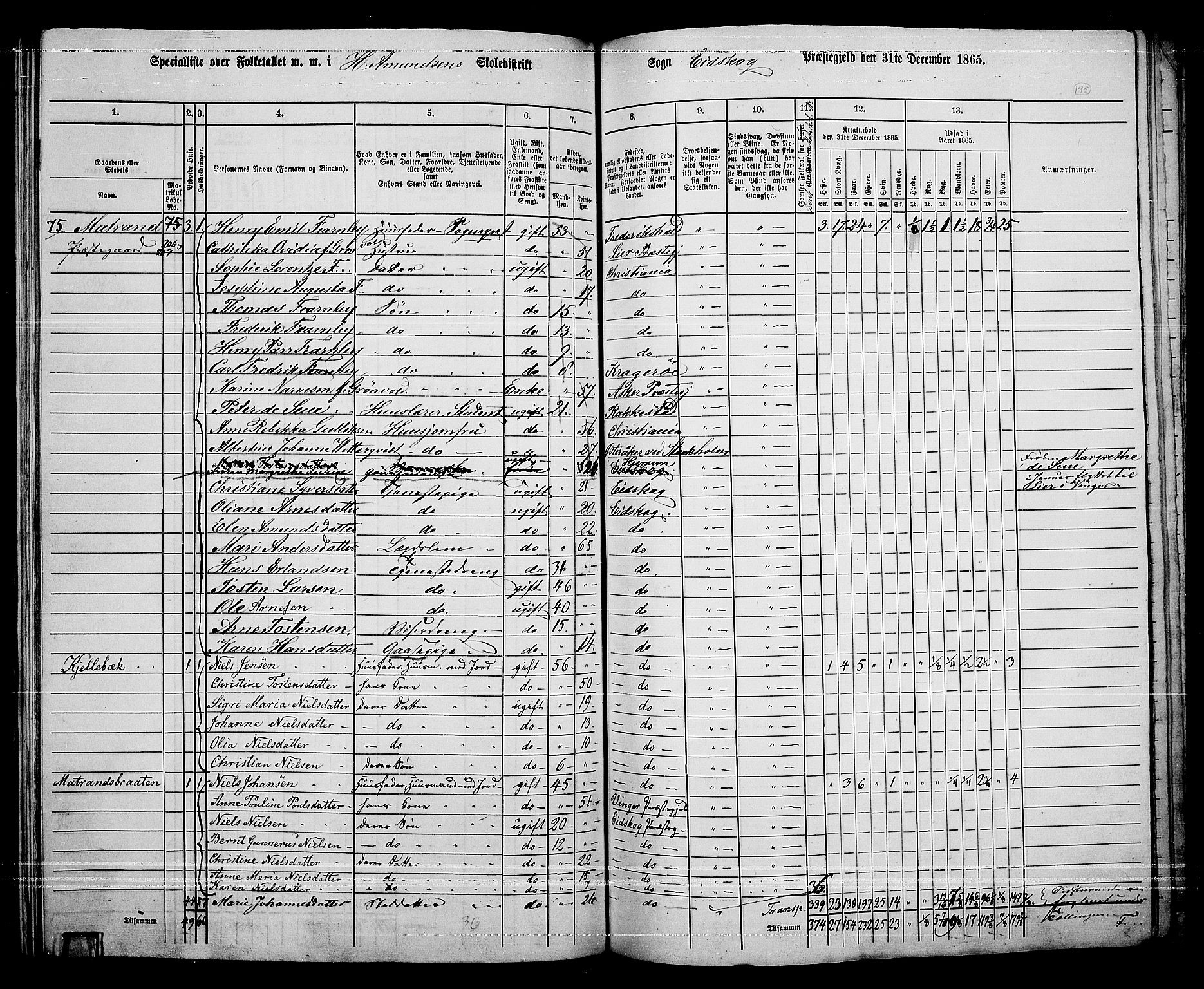 RA, 1865 census for Eidskog, 1865, p. 120