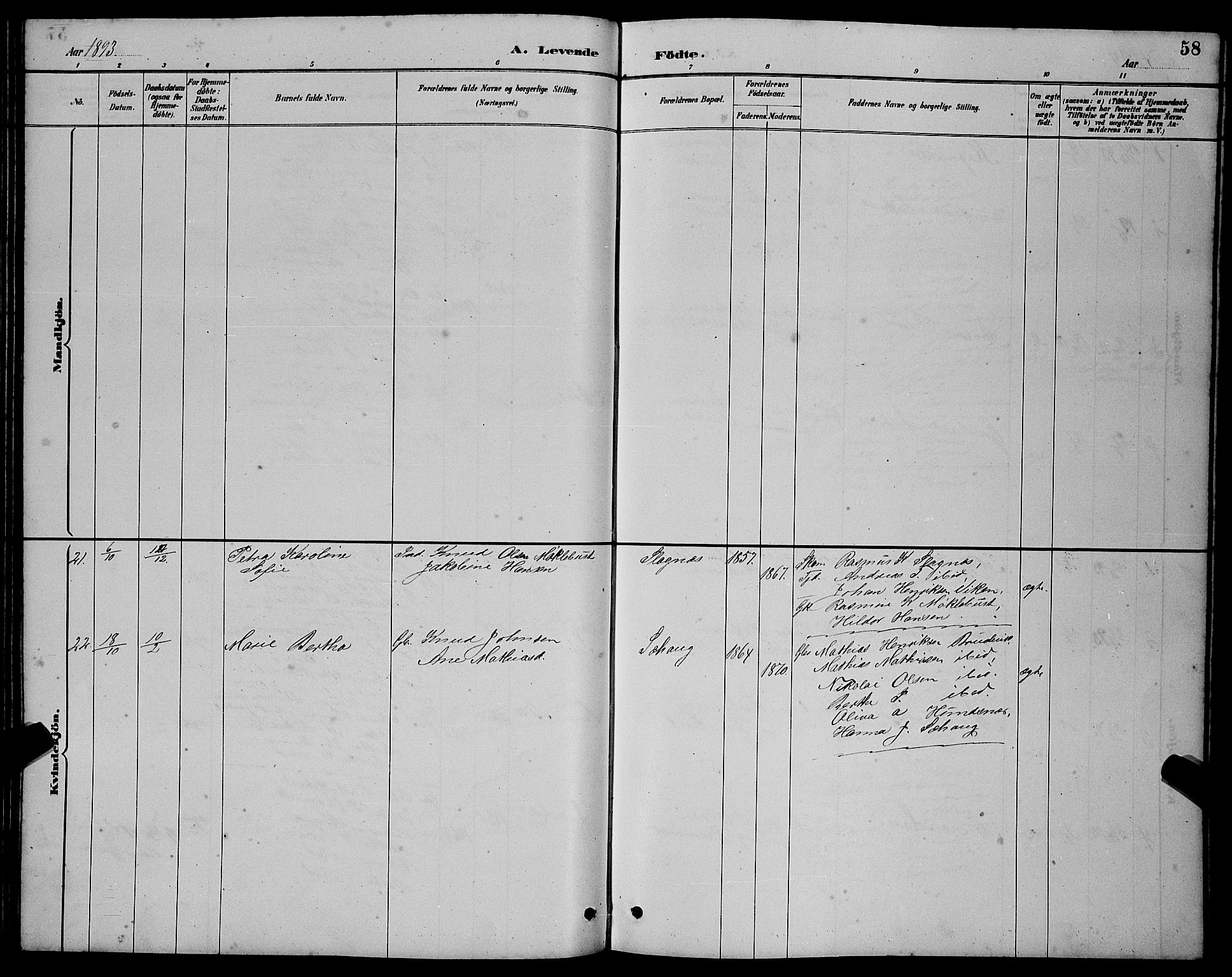 Ministerialprotokoller, klokkerbøker og fødselsregistre - Møre og Romsdal, AV/SAT-A-1454/501/L0017: Parish register (copy) no. 501C03, 1885-1901, p. 58