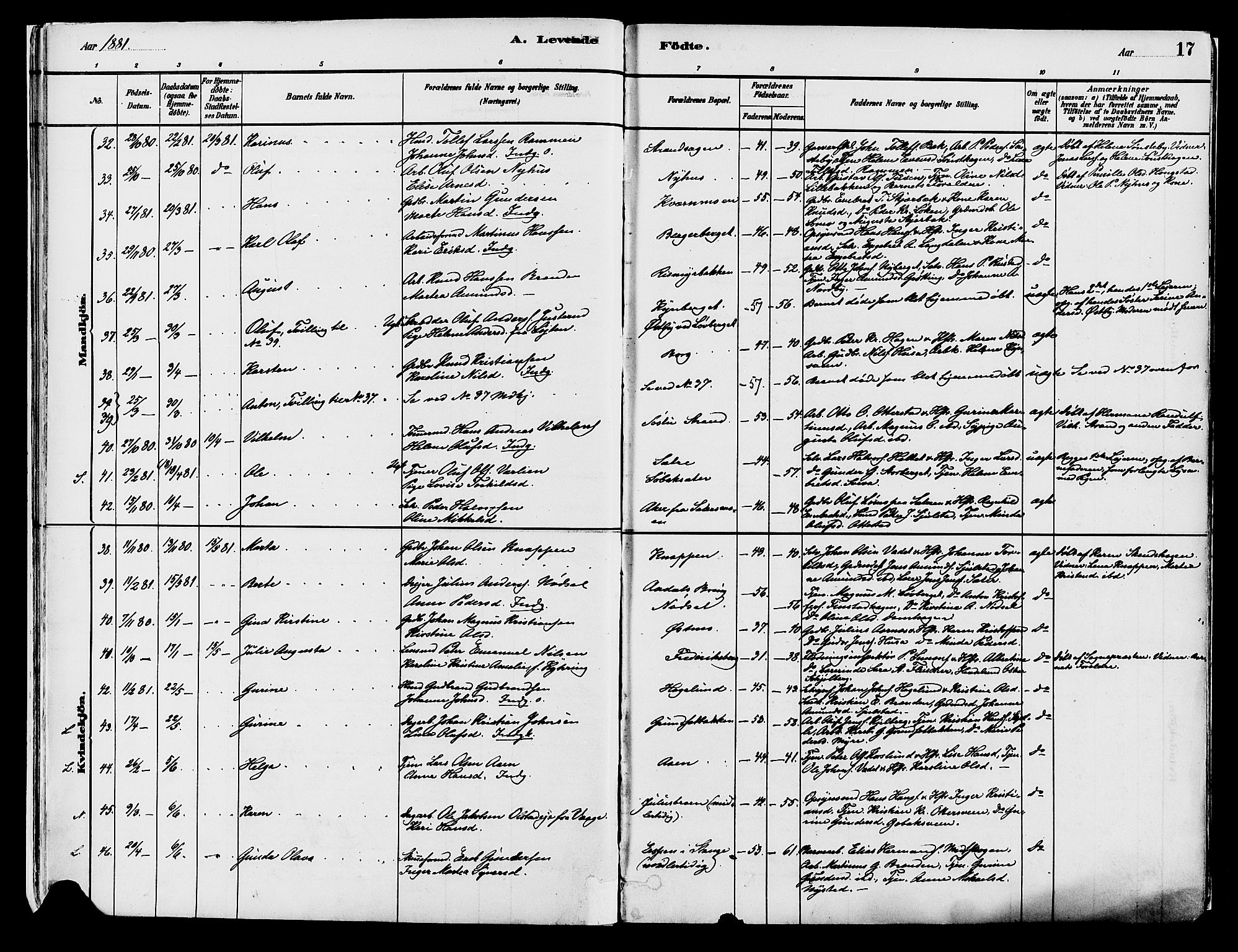 Elverum prestekontor, AV/SAH-PREST-044/H/Ha/Haa/L0013: Parish register (official) no. 13, 1880-1890, p. 17