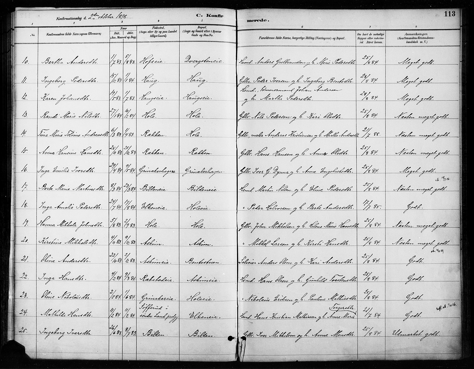 Gran prestekontor, SAH/PREST-112/H/Ha/Haa/L0018: Parish register (official) no. 18, 1889-1899, p. 113