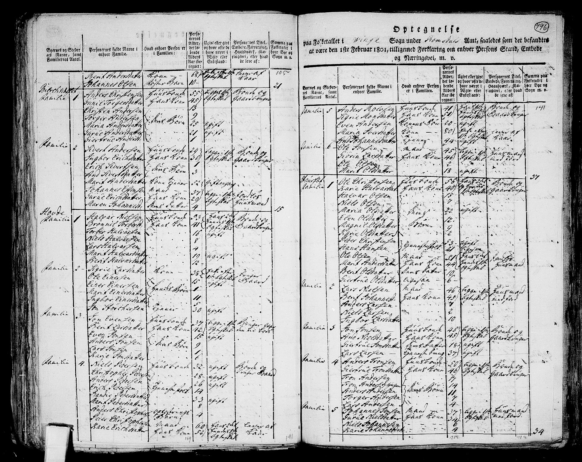 RA, 1801 census for 1612P Hemne, 1801, p. 795b-796a