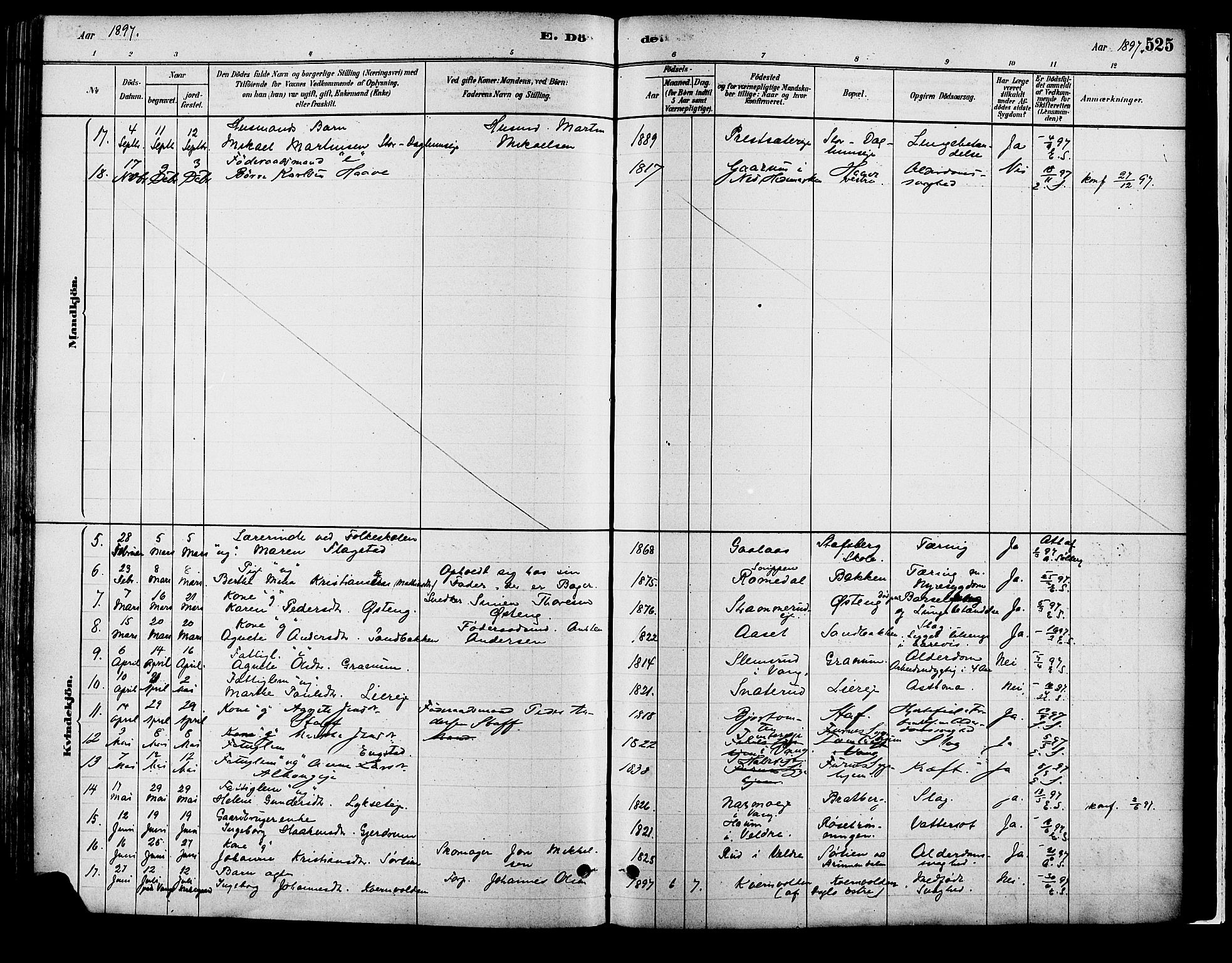 Vang prestekontor, Hedmark, AV/SAH-PREST-008/H/Ha/Haa/L0018B: Parish register (official) no. 18B, 1880-1906, p. 525