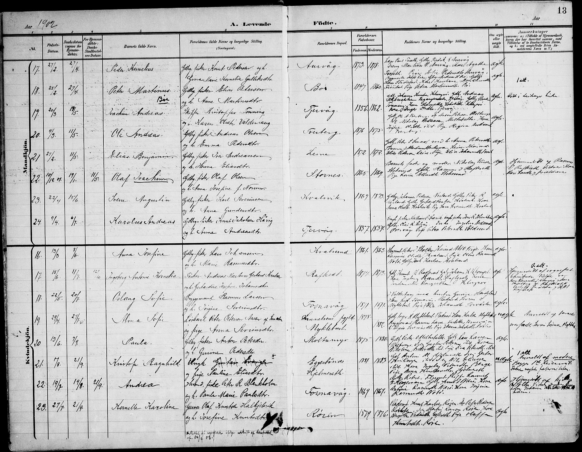 Ministerialprotokoller, klokkerbøker og fødselsregistre - Møre og Romsdal, AV/SAT-A-1454/507/L0075: Parish register (official) no. 507A10, 1901-1920, p. 13