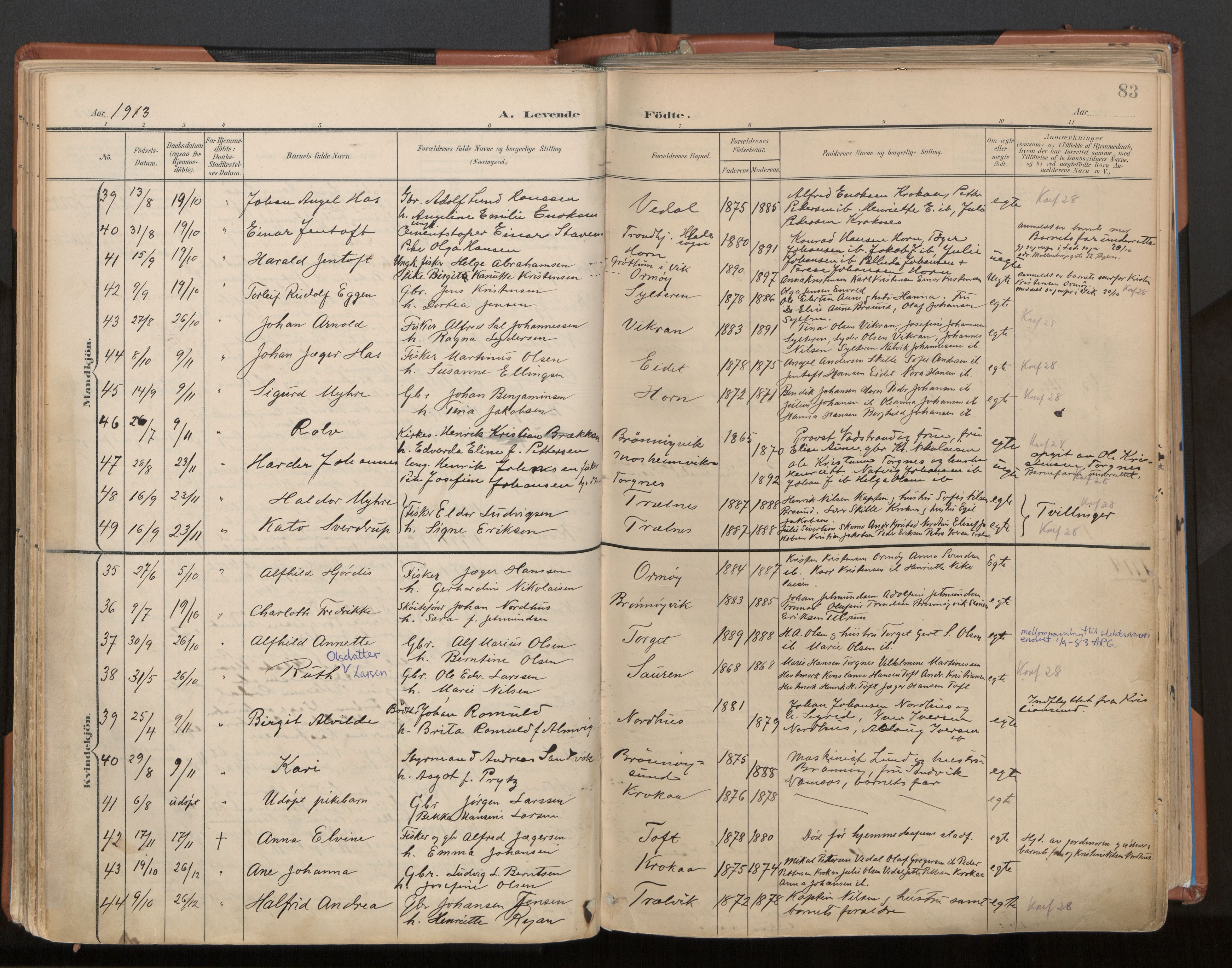 Ministerialprotokoller, klokkerbøker og fødselsregistre - Nordland, SAT/A-1459/813/L0201: Parish register (official) no. 813A11, 1901-1918, p. 83