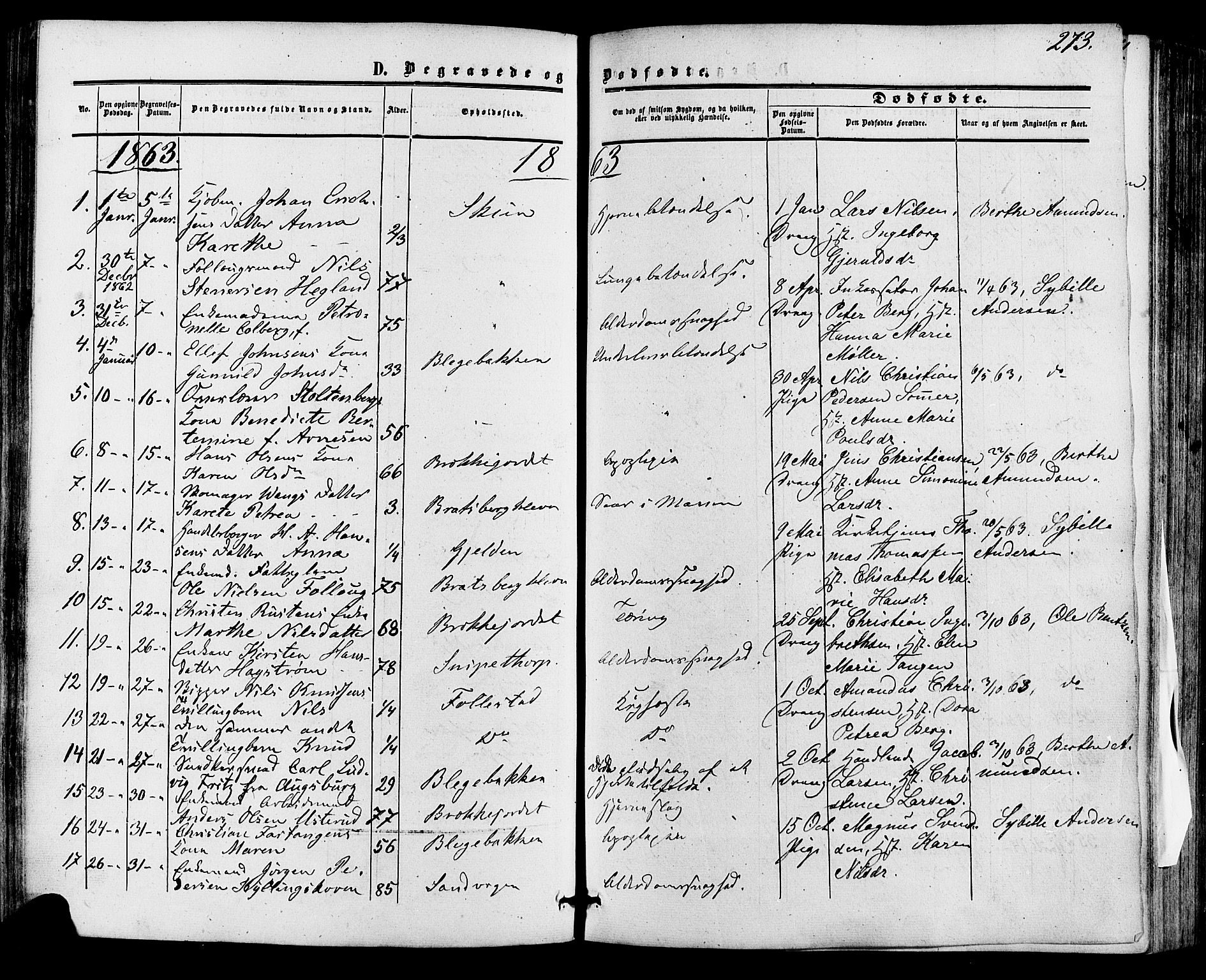 Skien kirkebøker, SAKO/A-302/F/Fa/L0007: Parish register (official) no. 7, 1856-1865, p. 273
