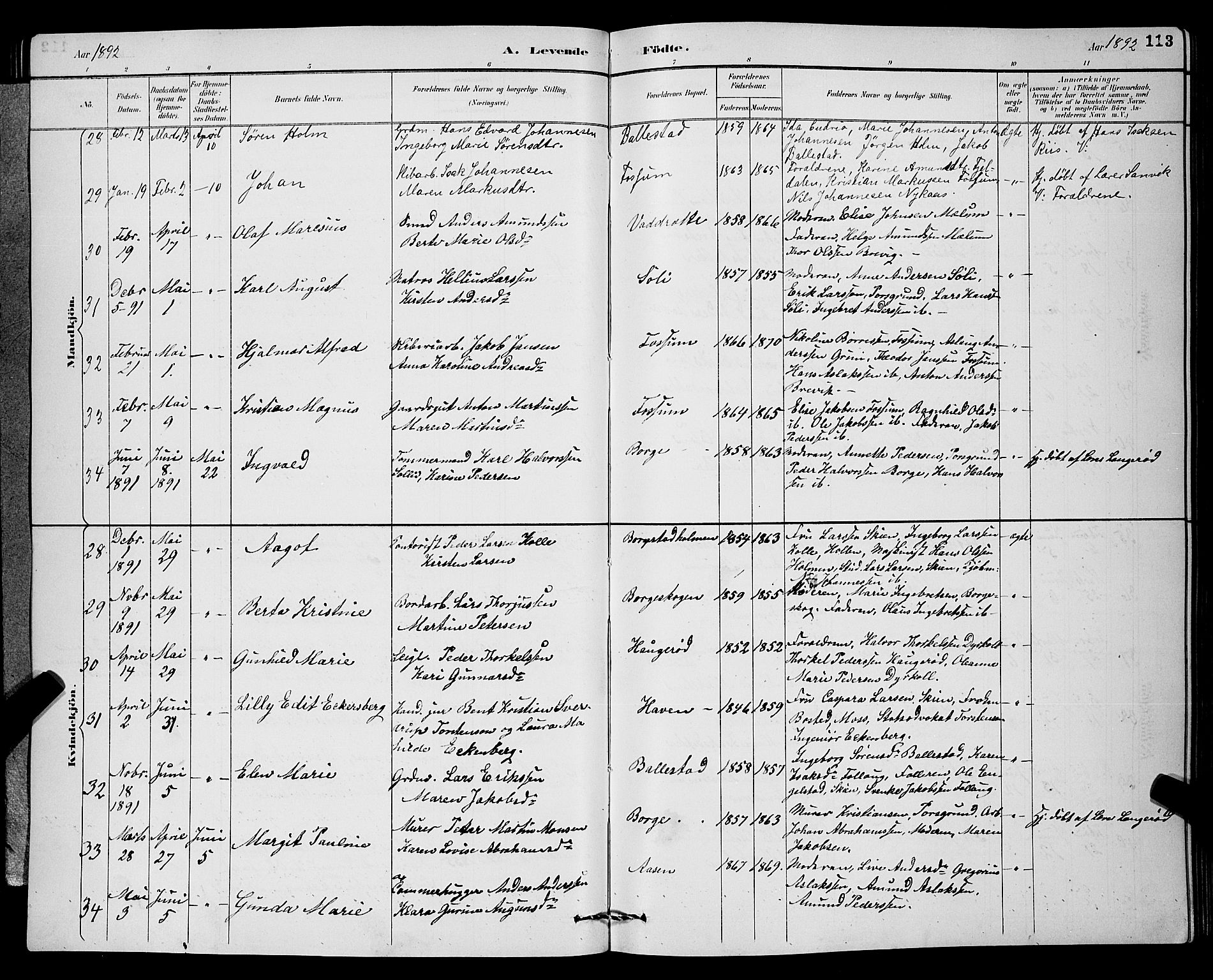 Gjerpen kirkebøker, AV/SAKO-A-265/G/Ga/L0002: Parish register (copy) no. I 2, 1883-1900, p. 113