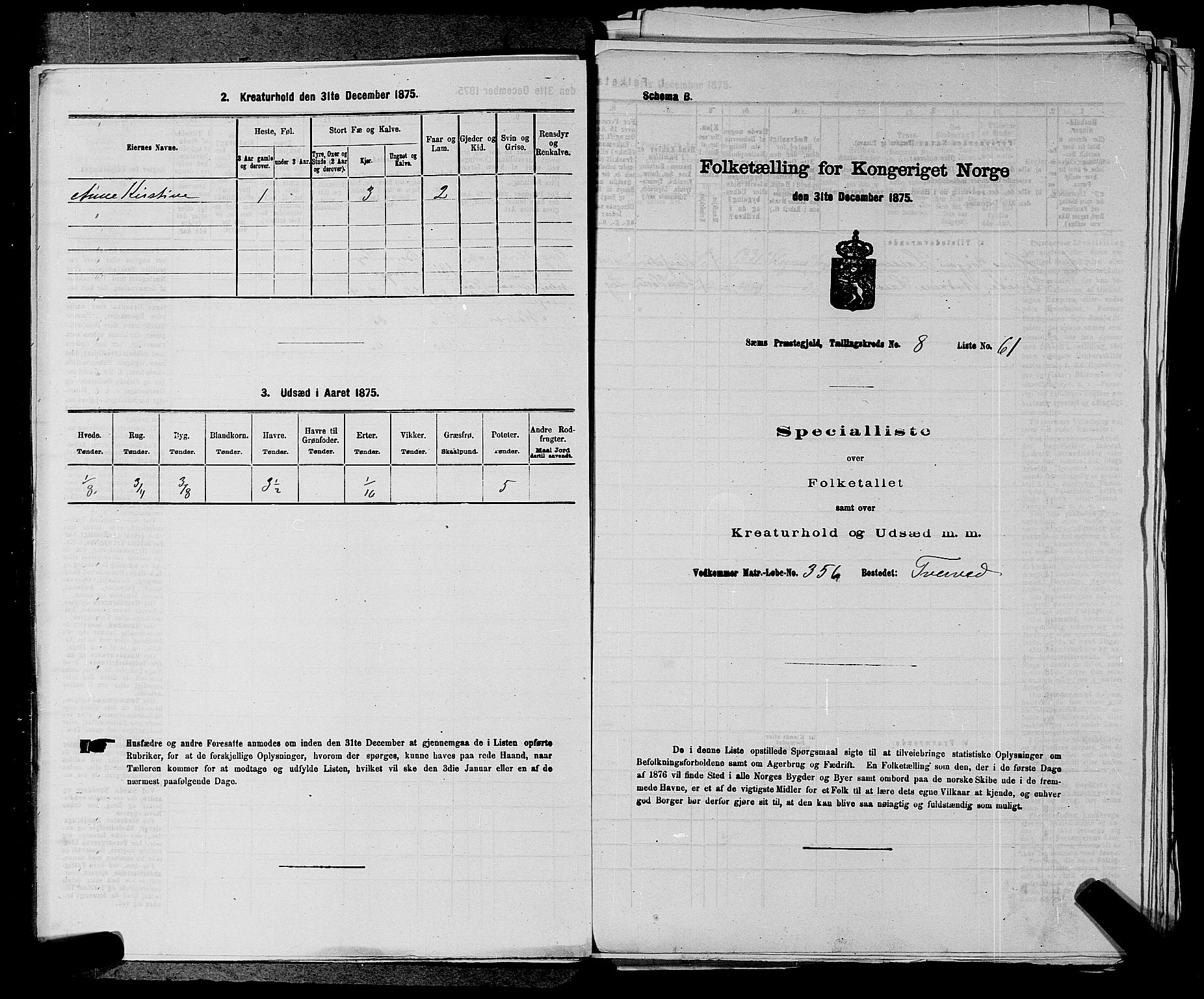 SAKO, 1875 census for 0721P Sem, 1875, p. 1381