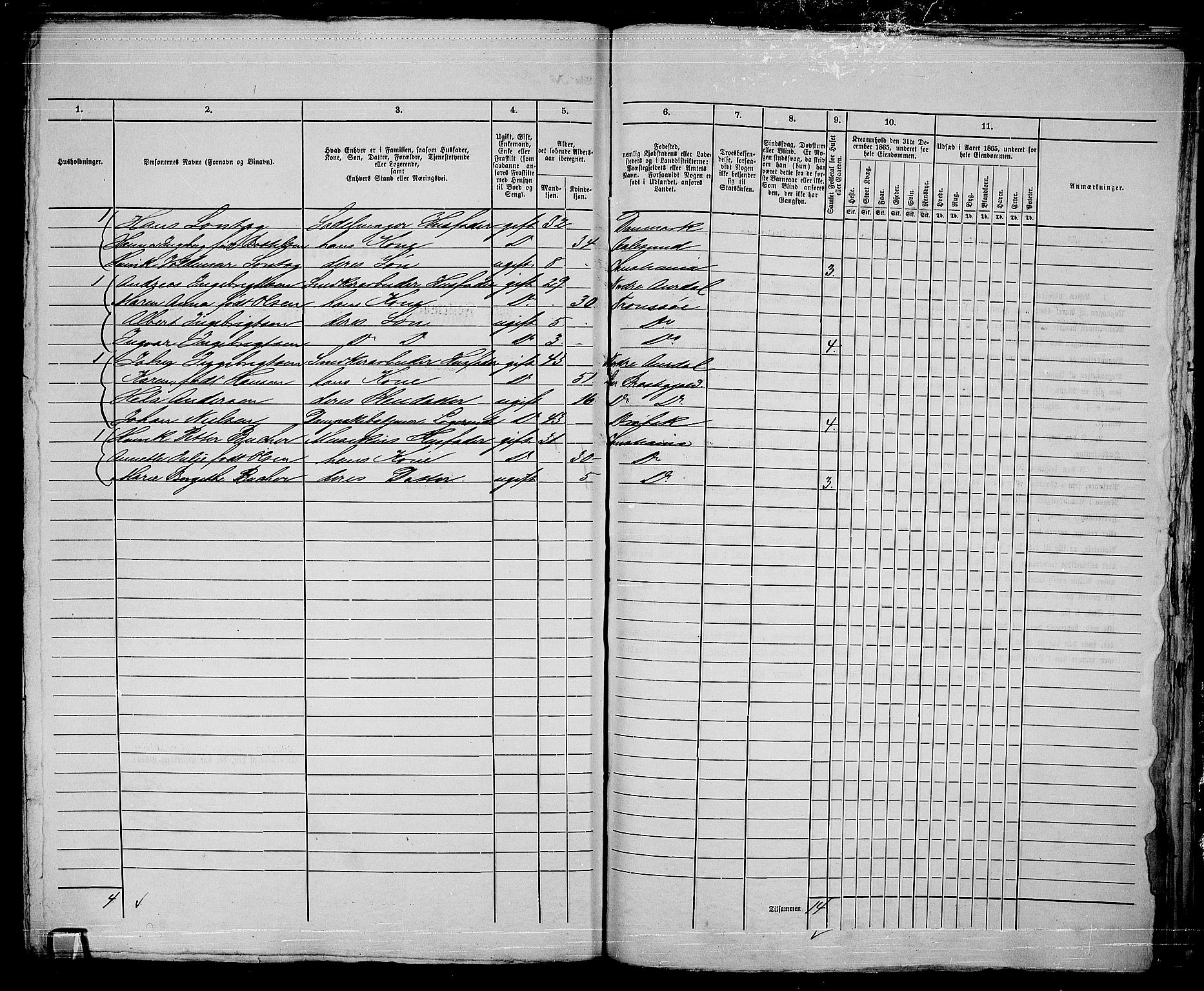 RA, 1865 census for Kristiania, 1865, p. 5413