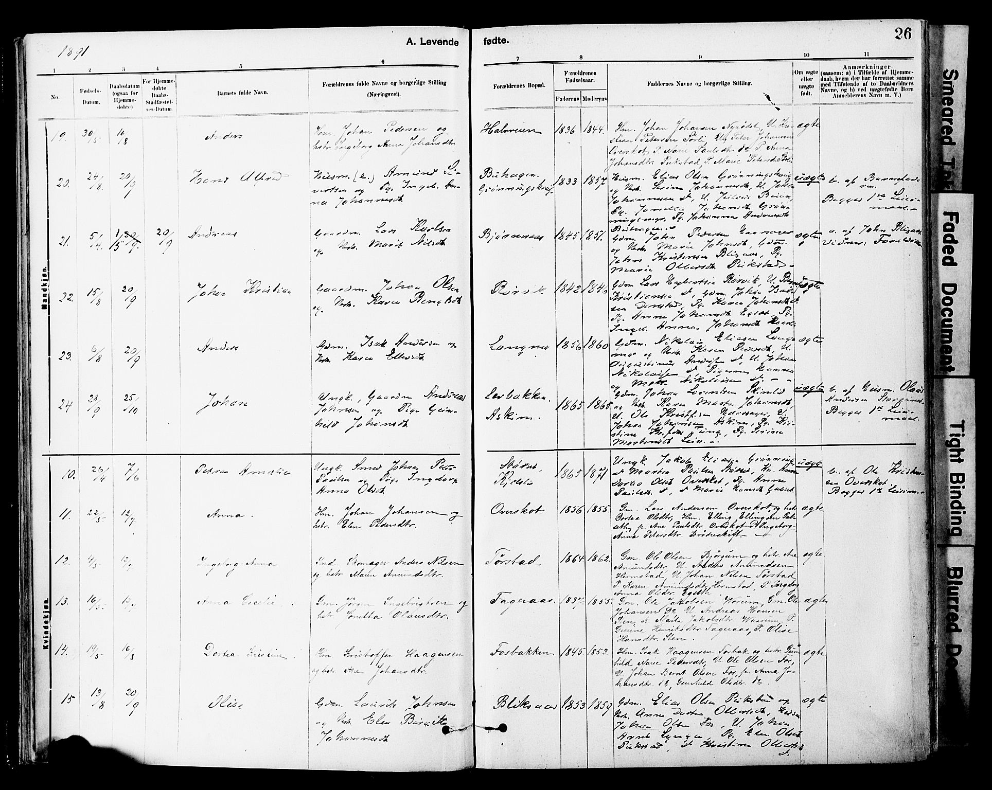 Ministerialprotokoller, klokkerbøker og fødselsregistre - Sør-Trøndelag, AV/SAT-A-1456/646/L0615: Parish register (official) no. 646A13, 1885-1900, p. 26