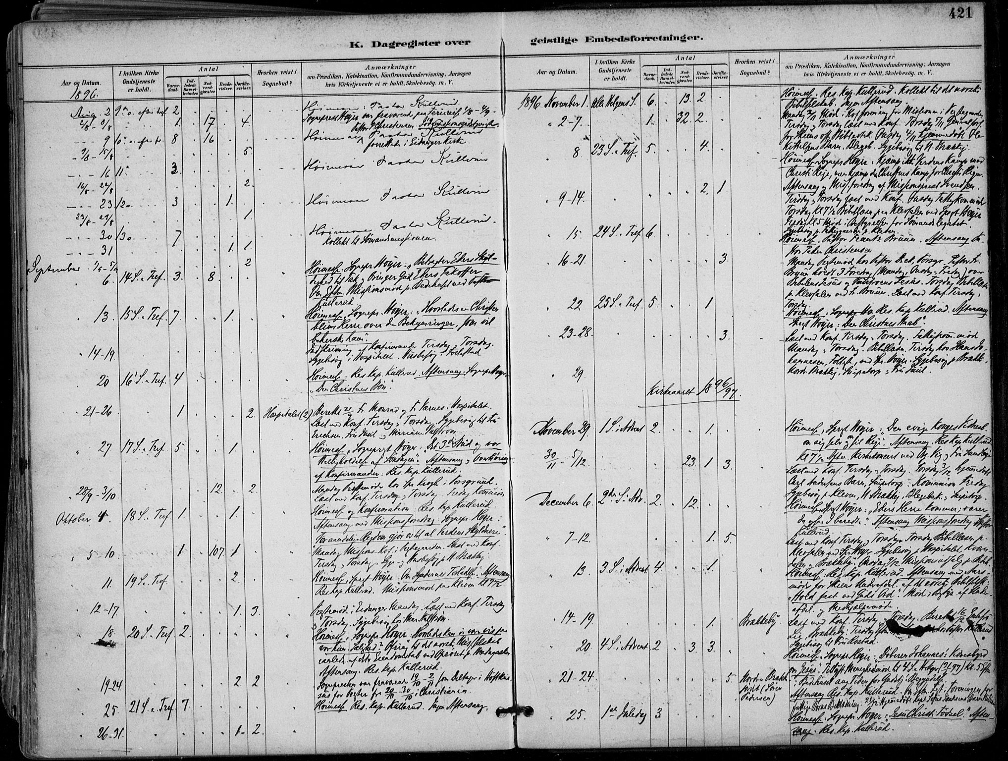 Skien kirkebøker, AV/SAKO-A-302/F/Fa/L0010: Parish register (official) no. 10, 1891-1899, p. 421