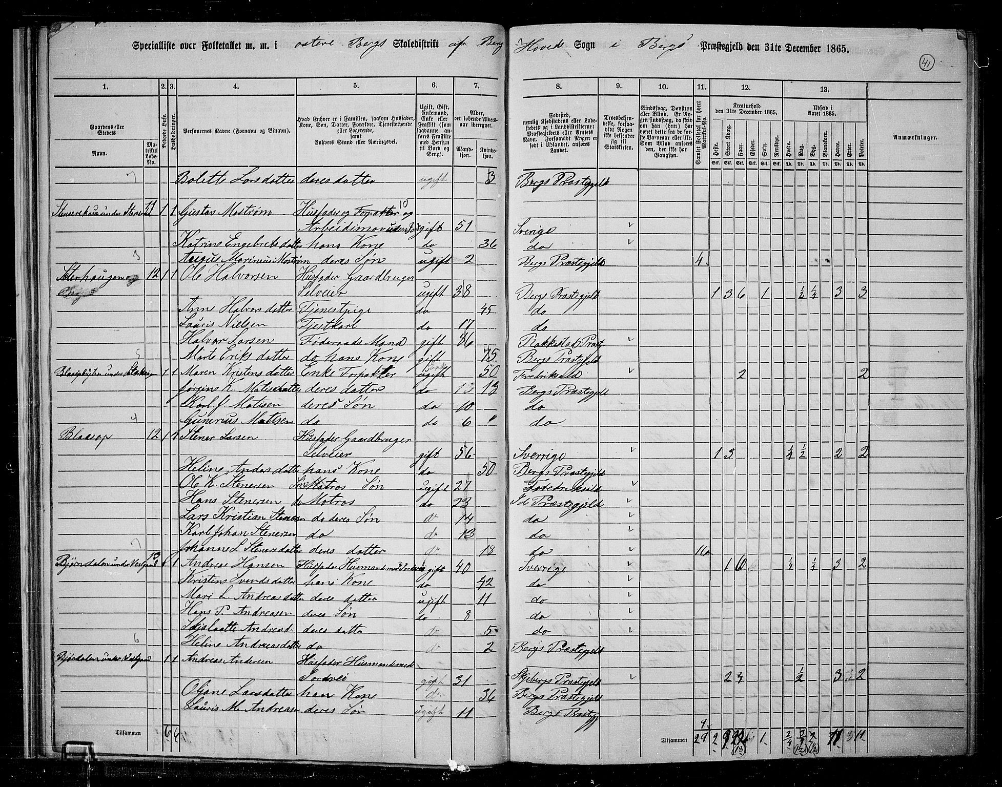 RA, 1865 census for Berg, 1865, p. 38