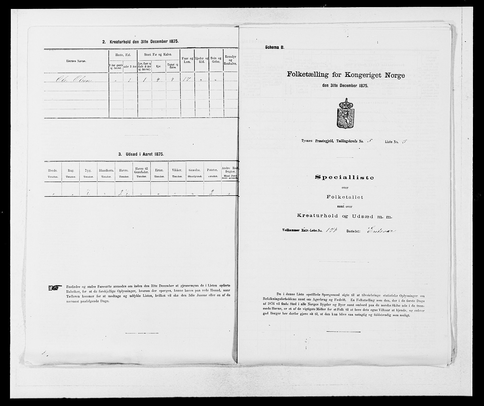 SAB, 1875 census for 1223P Tysnes, 1875, p. 552