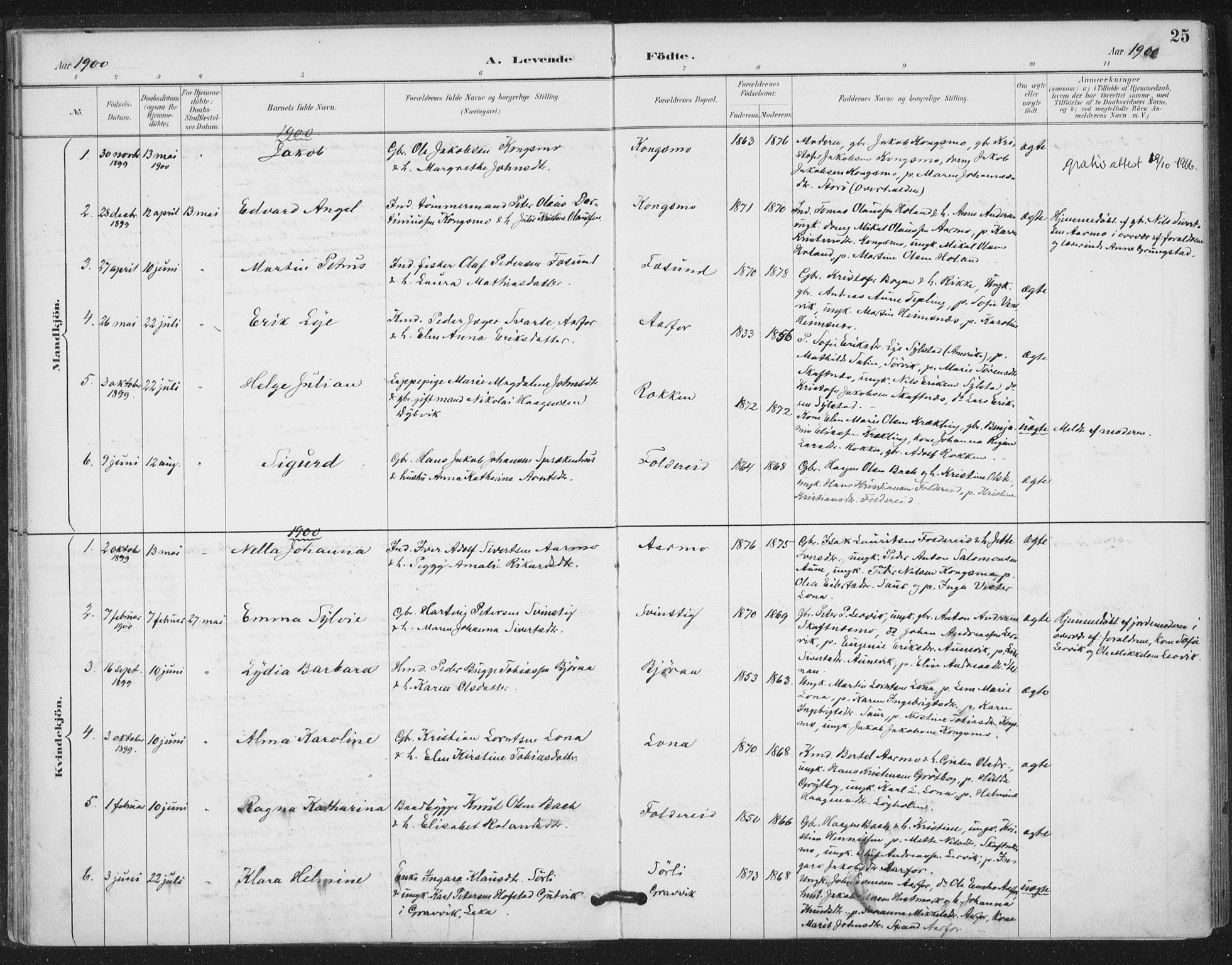 Ministerialprotokoller, klokkerbøker og fødselsregistre - Nord-Trøndelag, SAT/A-1458/783/L0660: Parish register (official) no. 783A02, 1886-1918, p. 25