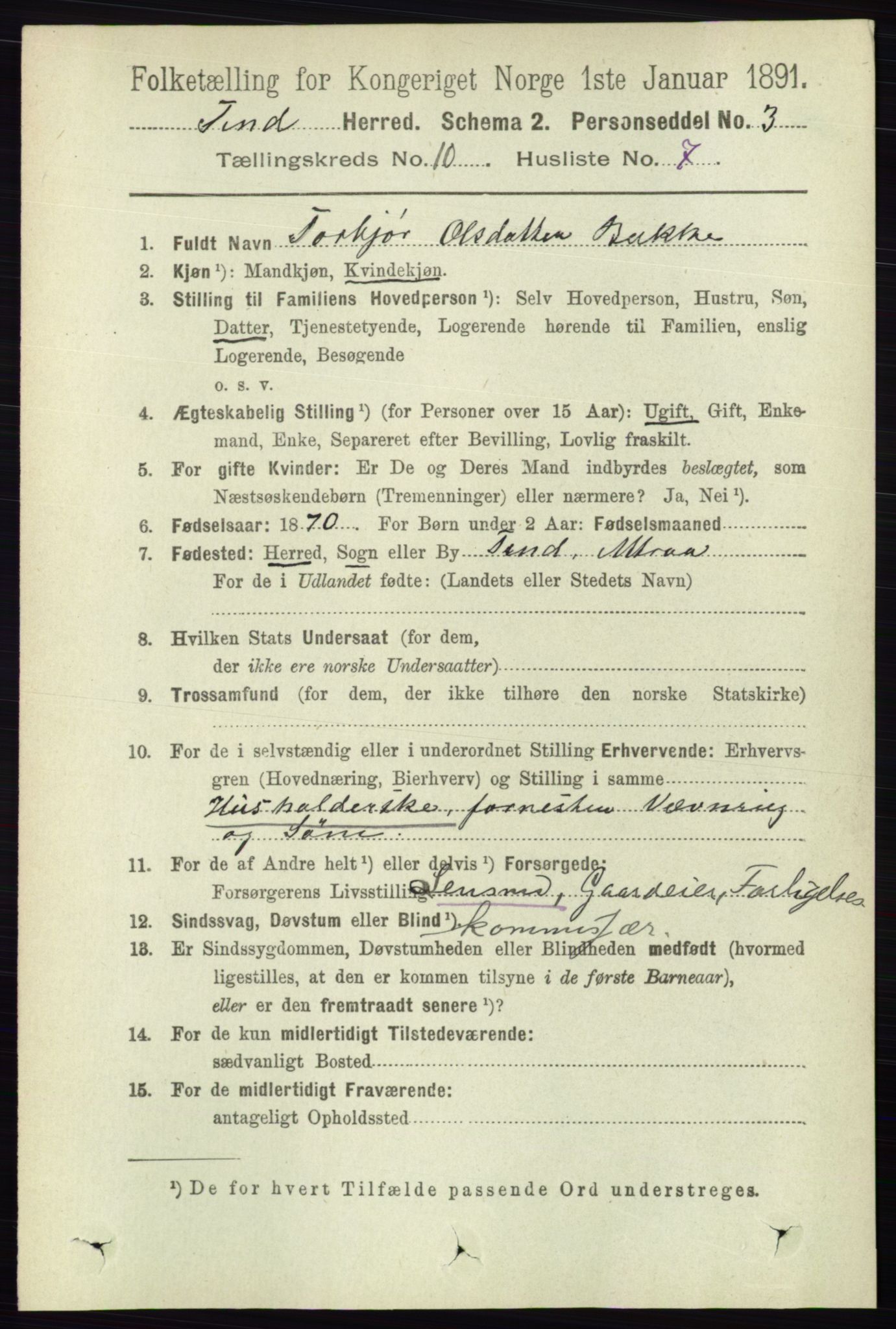 RA, 1891 census for 0826 Tinn, 1891, p. 2009