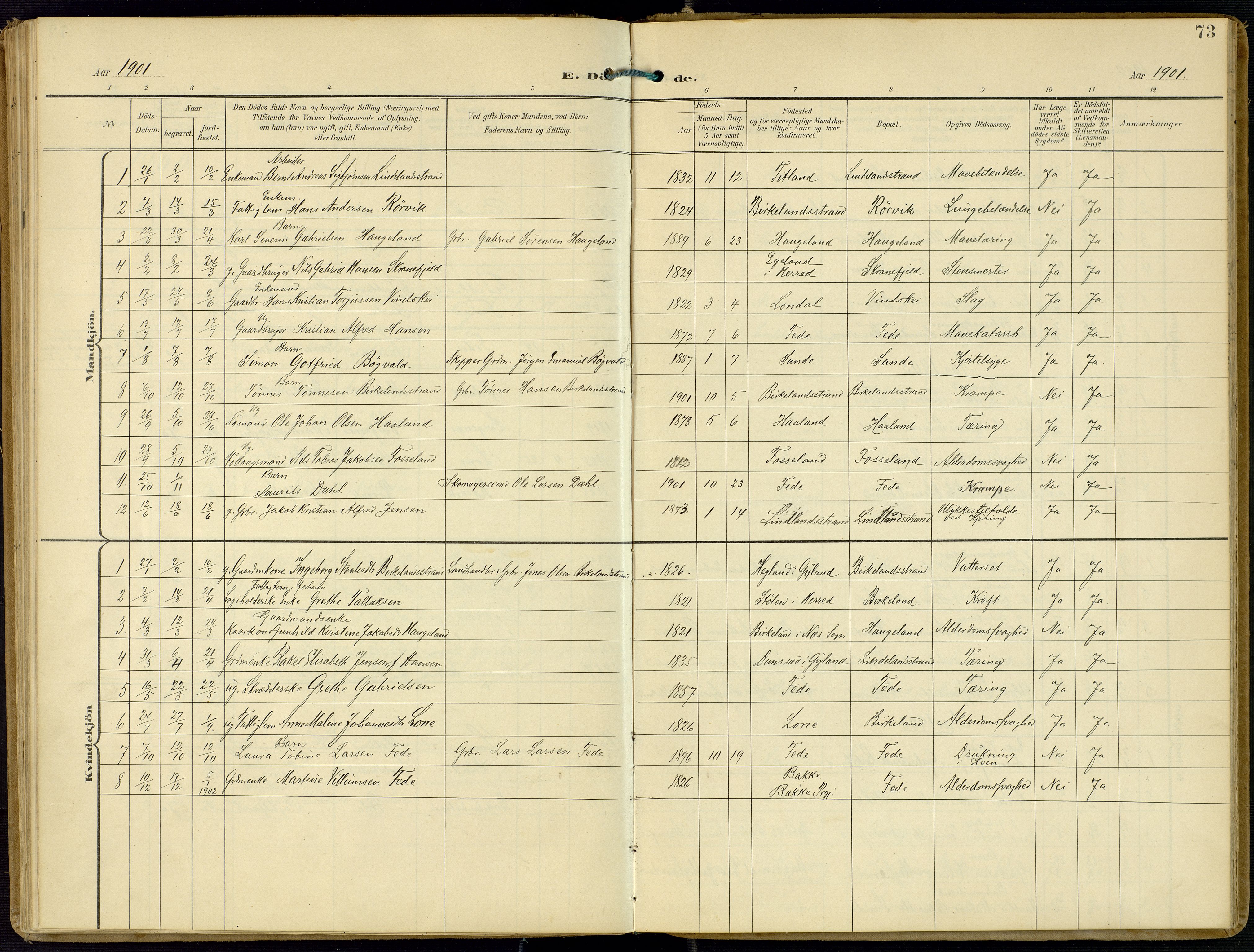 Kvinesdal sokneprestkontor, SAK/1111-0026/F/Fa/Faa/L0005: Parish register (official) no. A 5, 1898-1915, p. 73