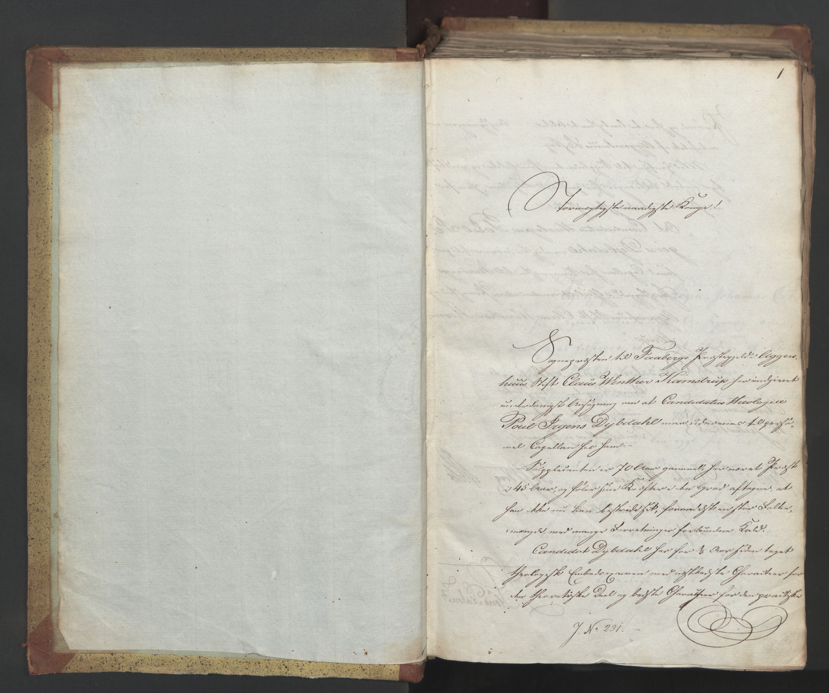 Statsrådsavdelingen i Stockholm, AV/RA-S-1003/D/Da/L0055: Regjeringsinnstillinger nr. 231-435, 1828, p. 3