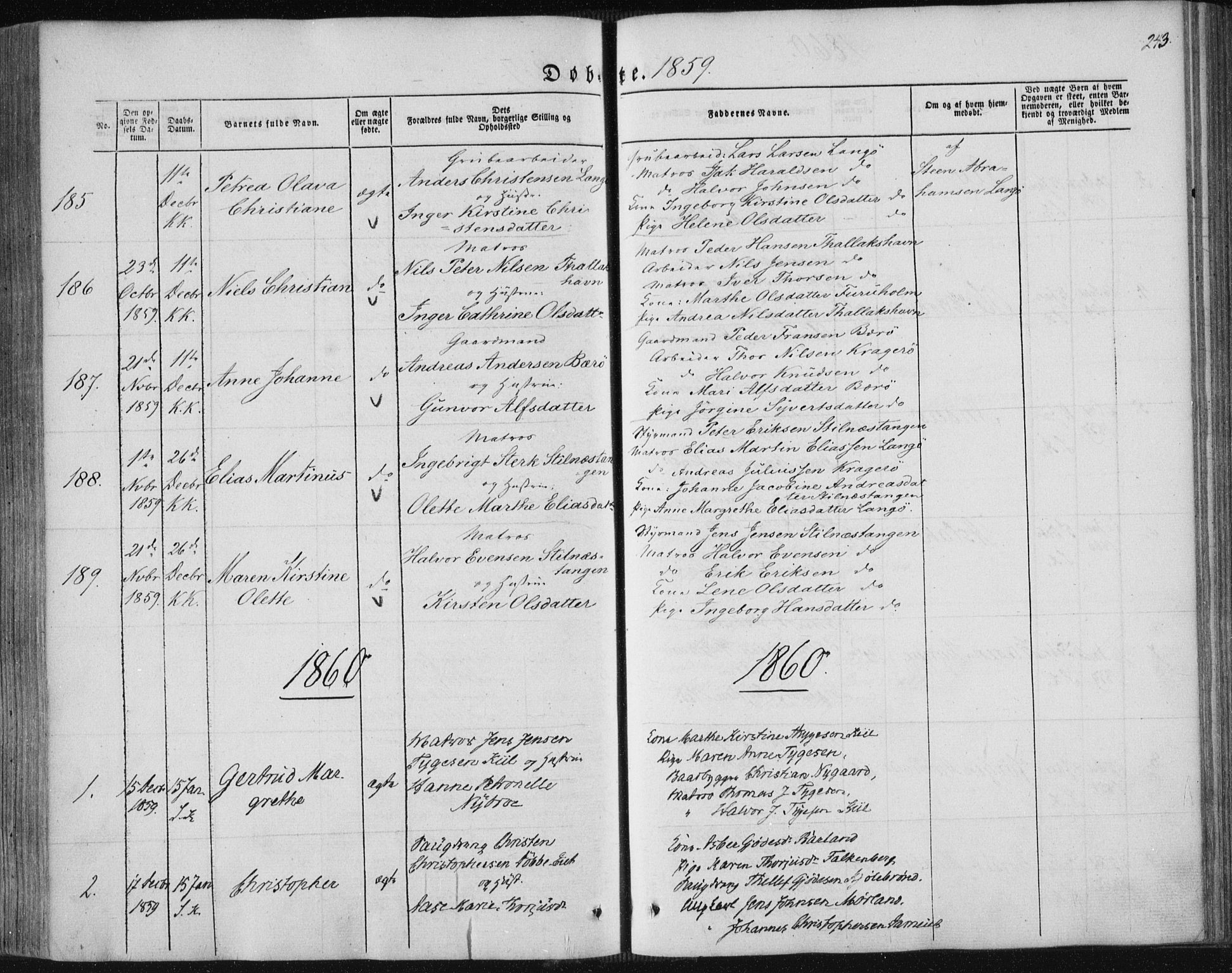 Sannidal kirkebøker, SAKO/A-296/F/Fa/L0008: Parish register (official) no. 8, 1847-1862, p. 243